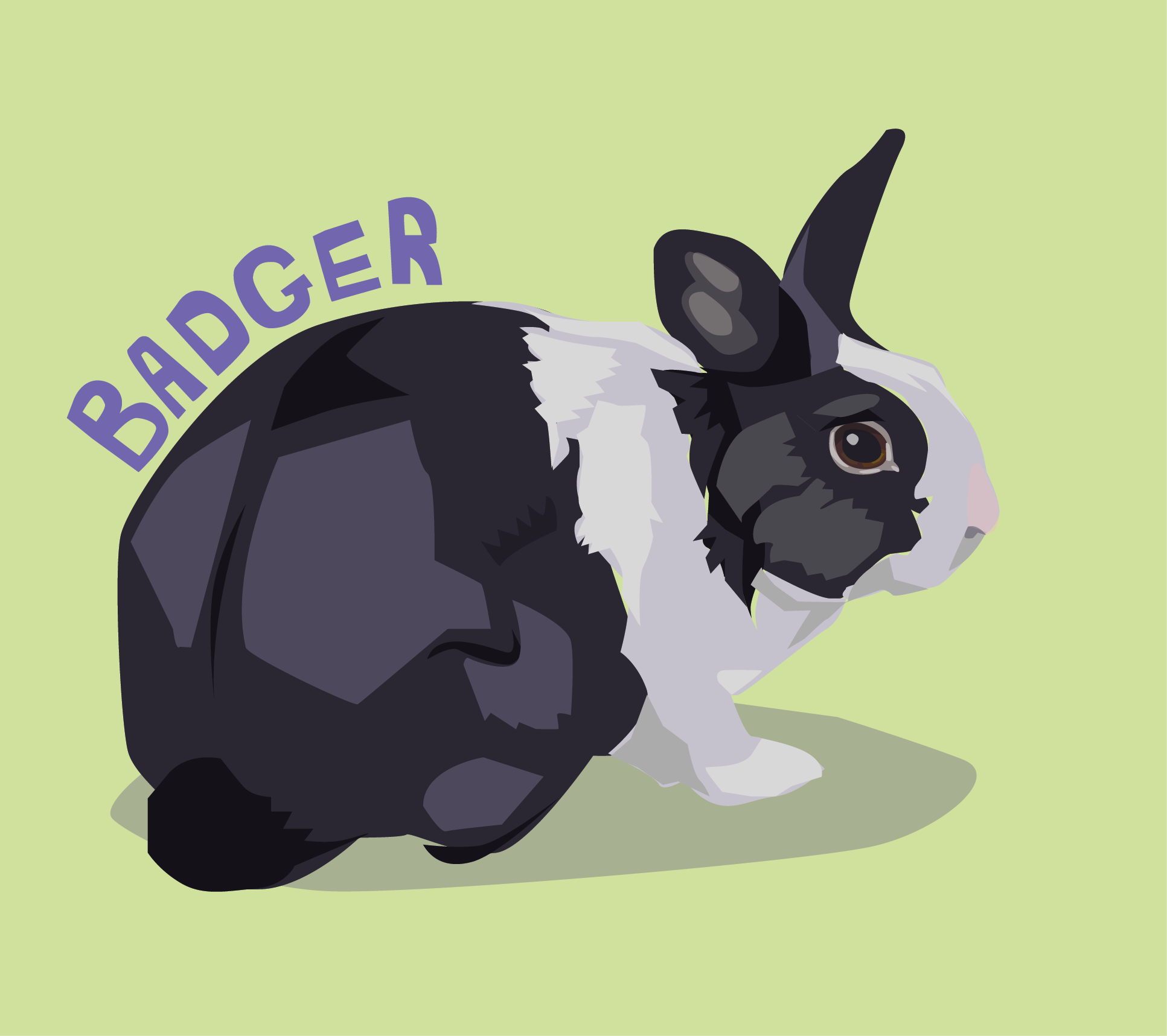 Badger 45min.png
