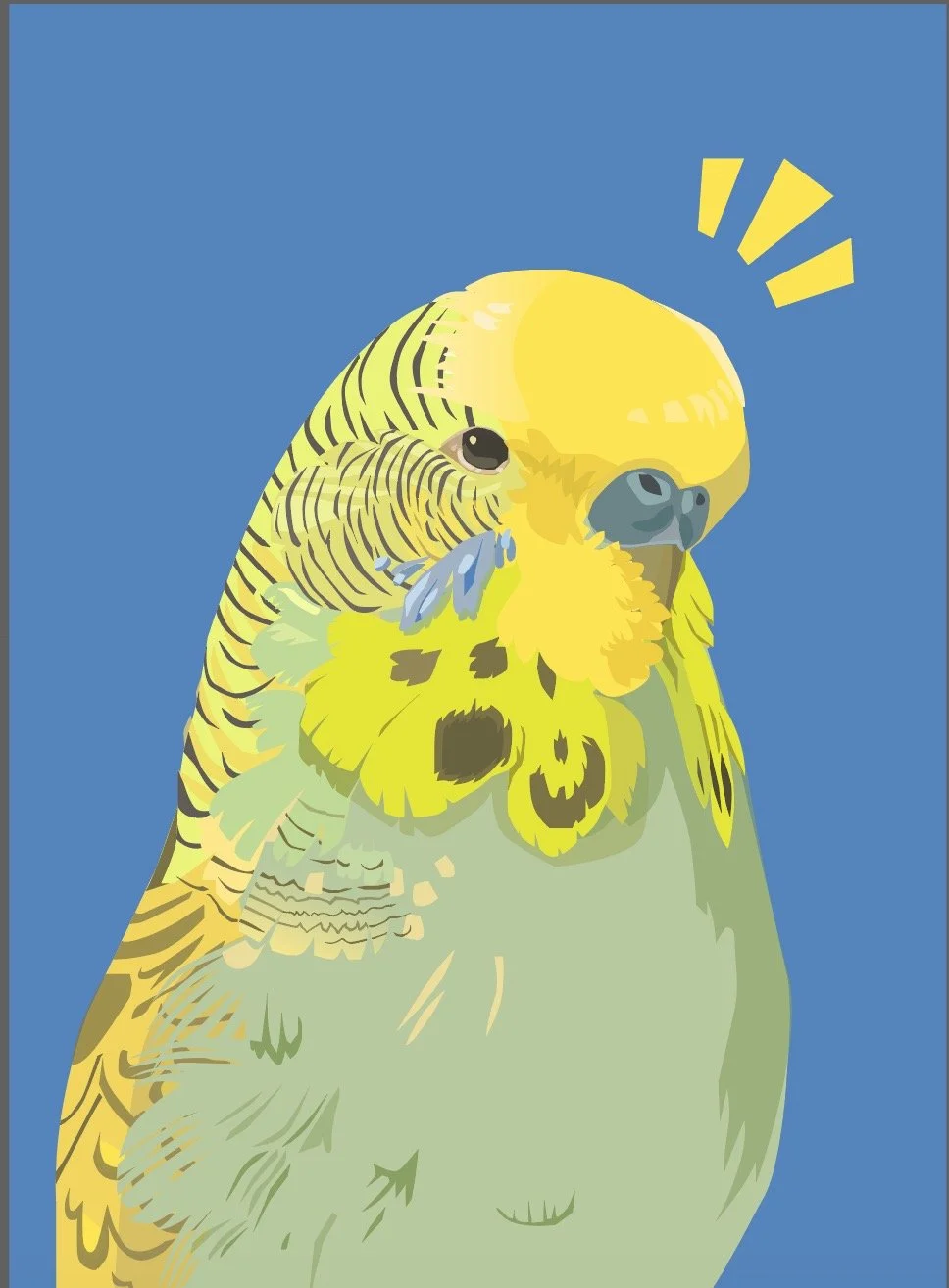 Budgie Portrait, 2020