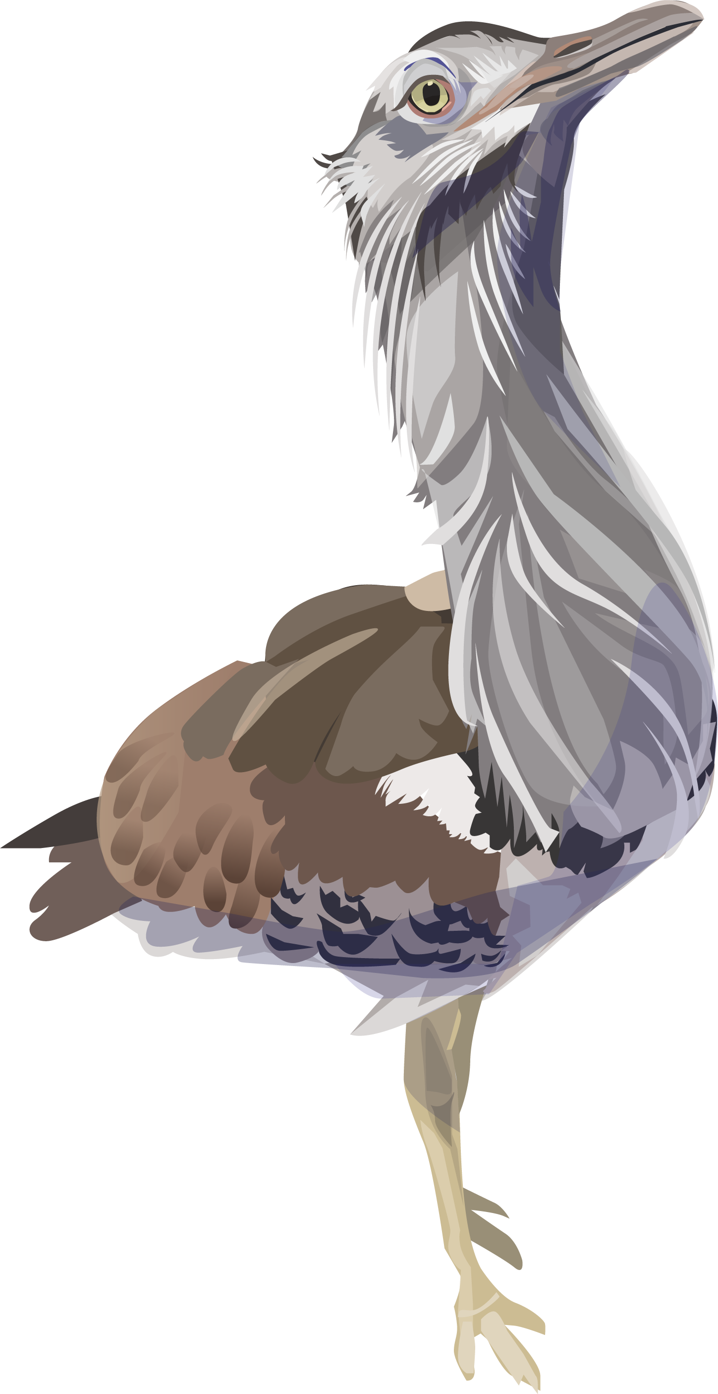 whitney.png