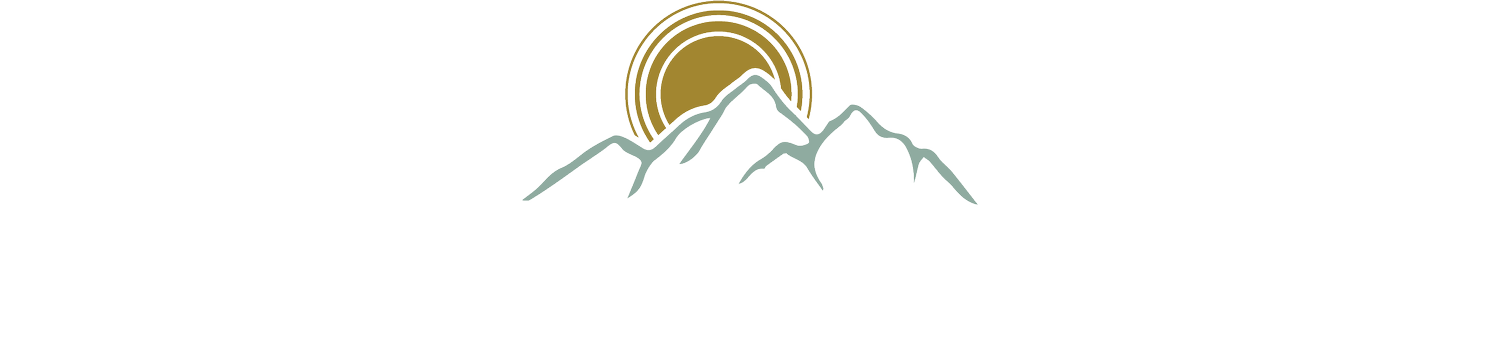 Denver Bone Broth