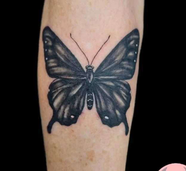 black butterfly.jpg