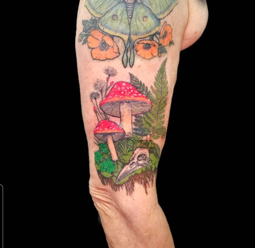 Screenshot_20251209_160559_Photo Editor.jpg