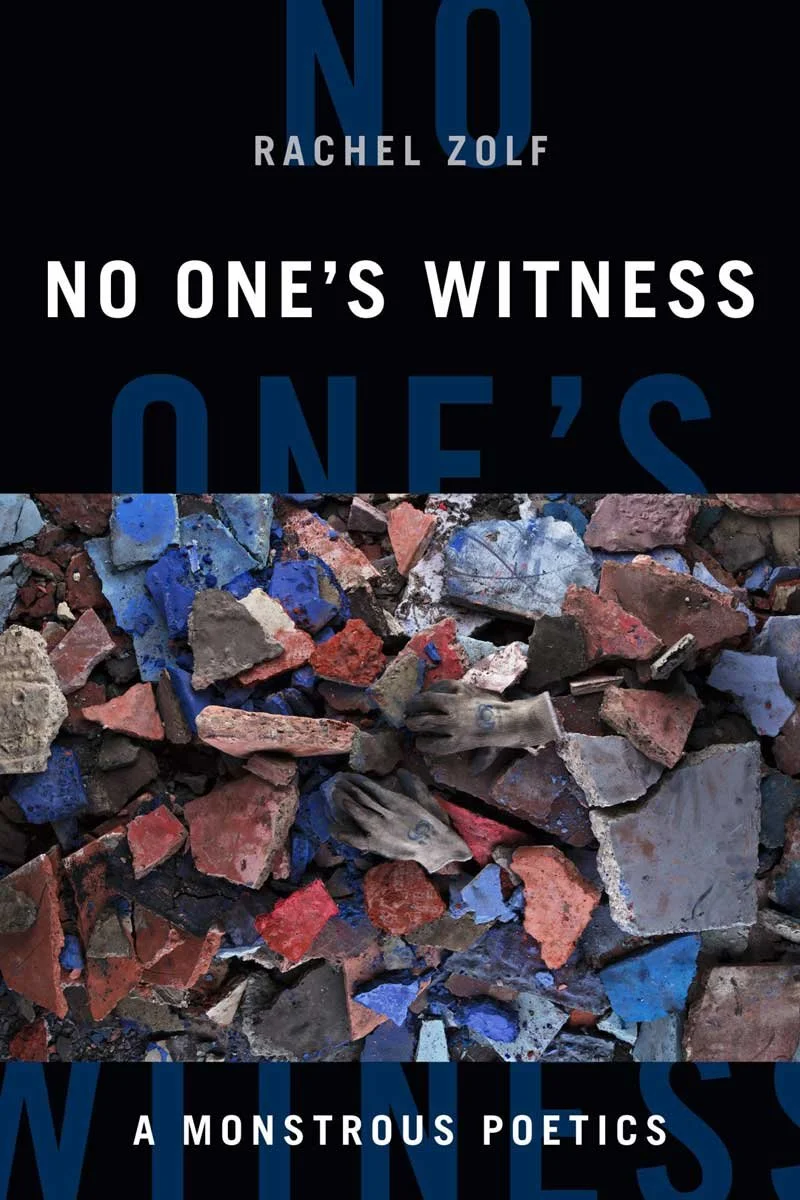 Book cover for 'No One's Witness' by Syd Zolf featuring a pile of rubble with broken bricks and debris.