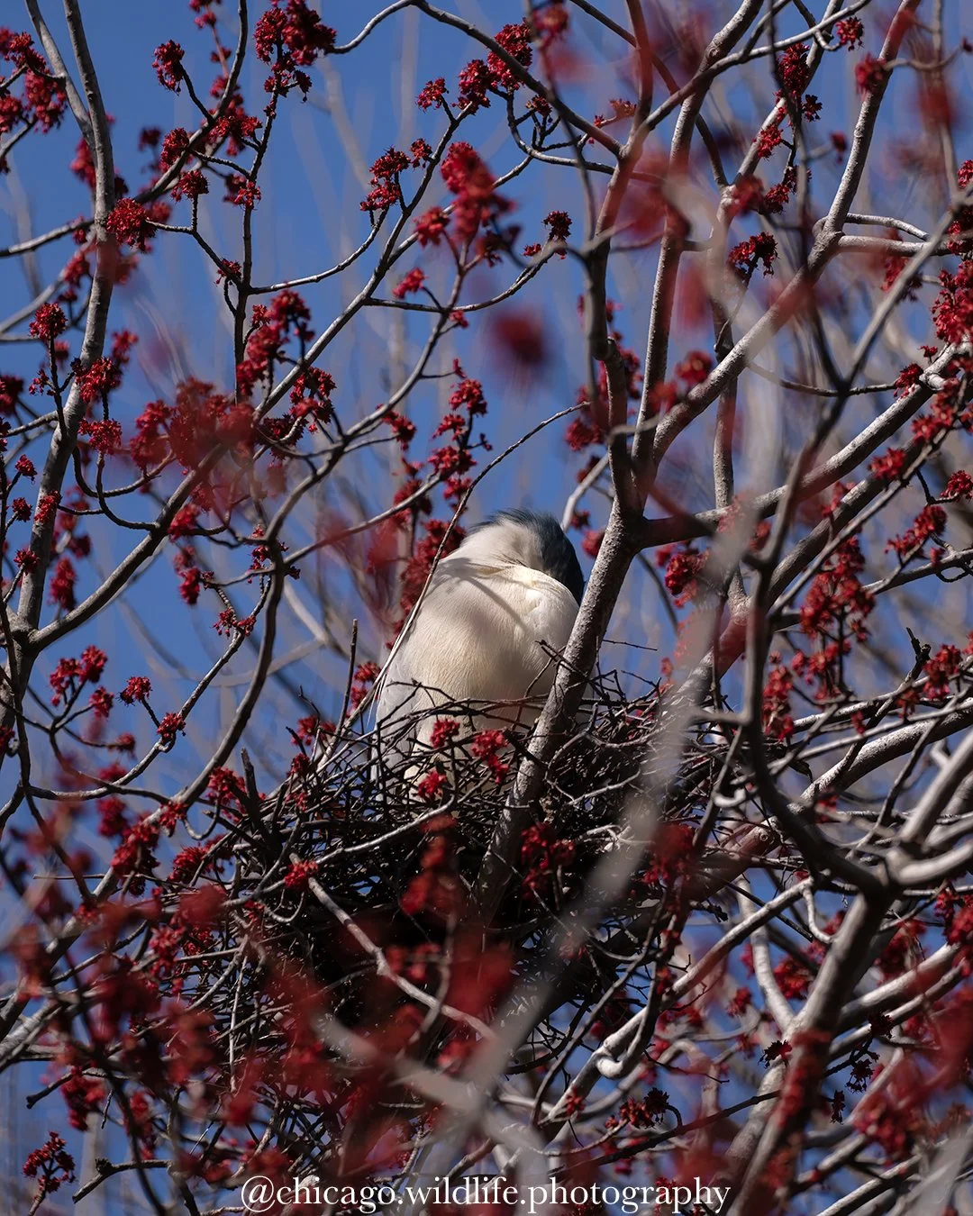 A New Project Spinning Up!