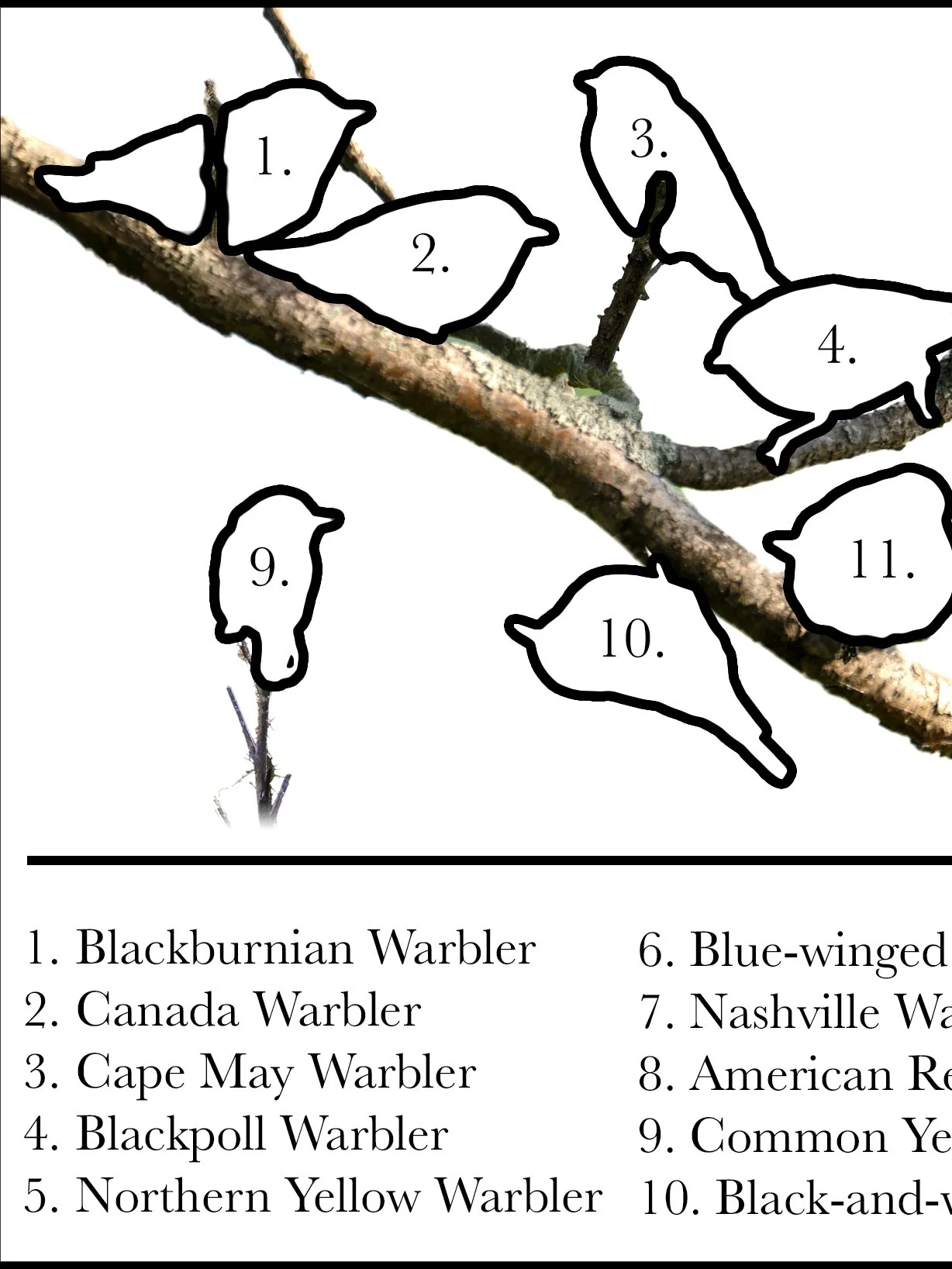 Mug Map1.jpg