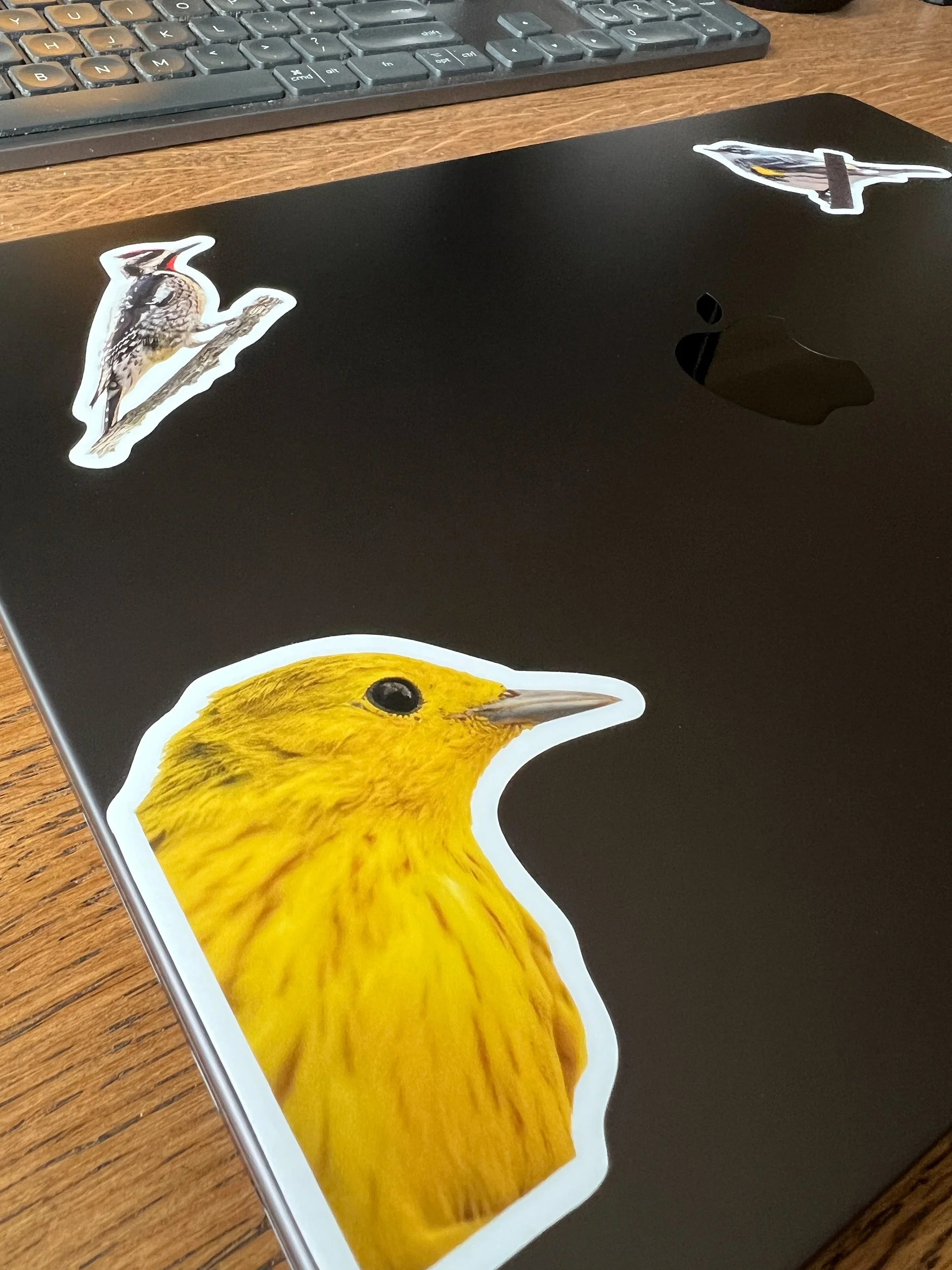 Stickers-on-laptop.jpg
