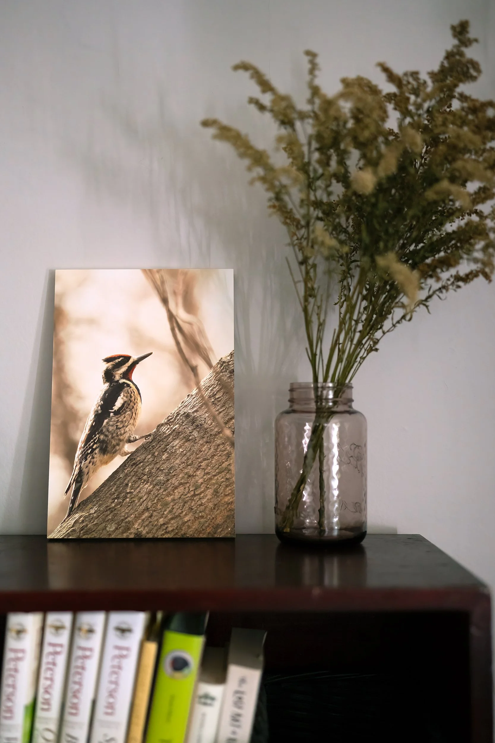 NEW YBSS Bookshelf-2x3crop.jpg