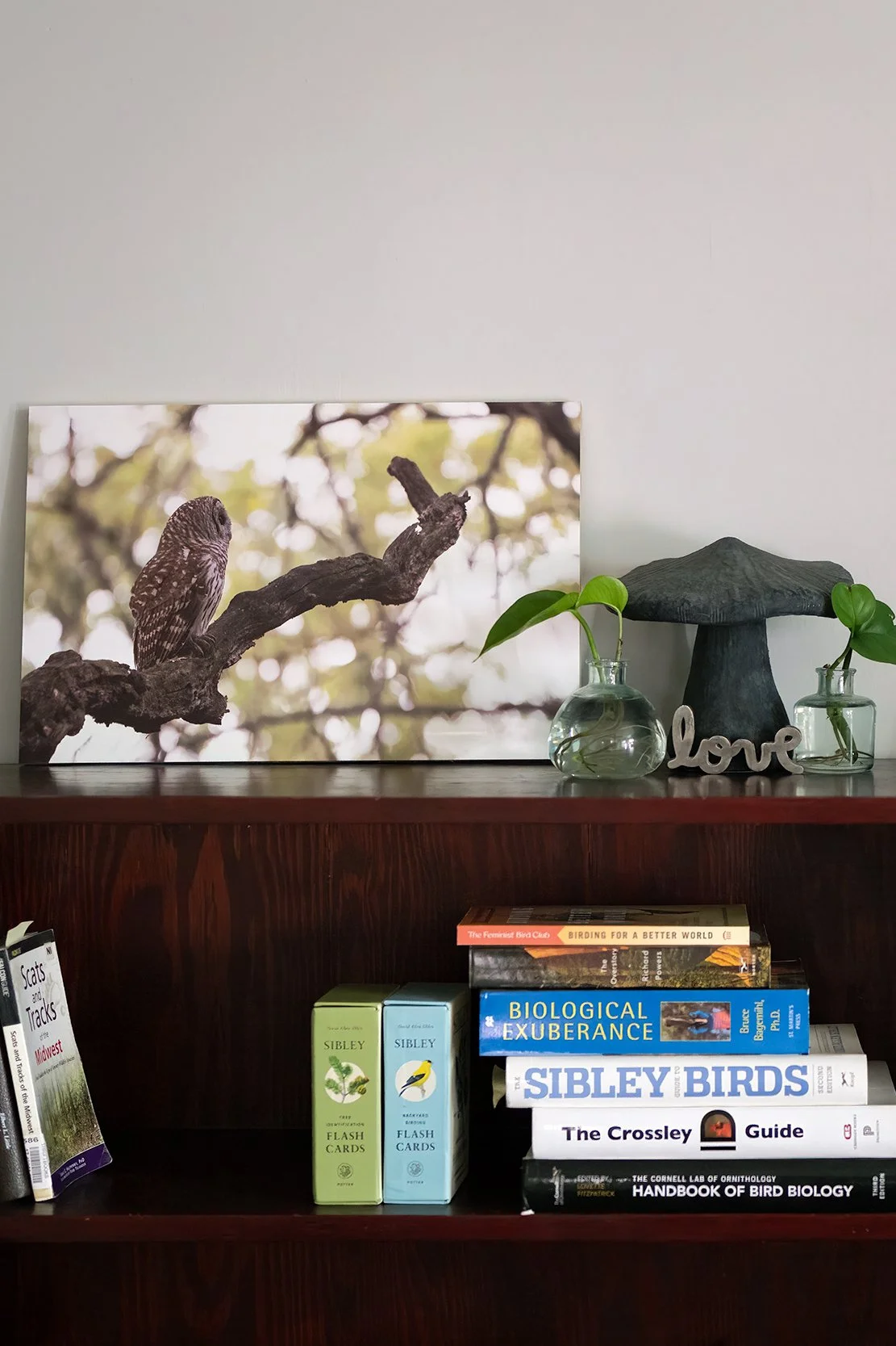 NEW Bookshelf Wood Prints 2x3crop.jpg