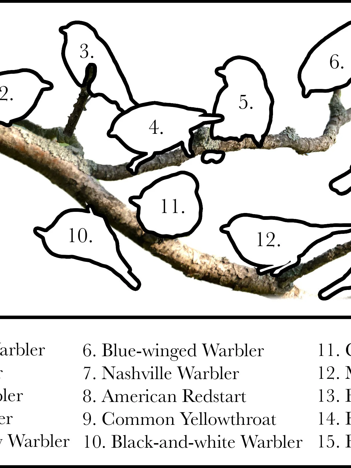 Mug Map2.jpg