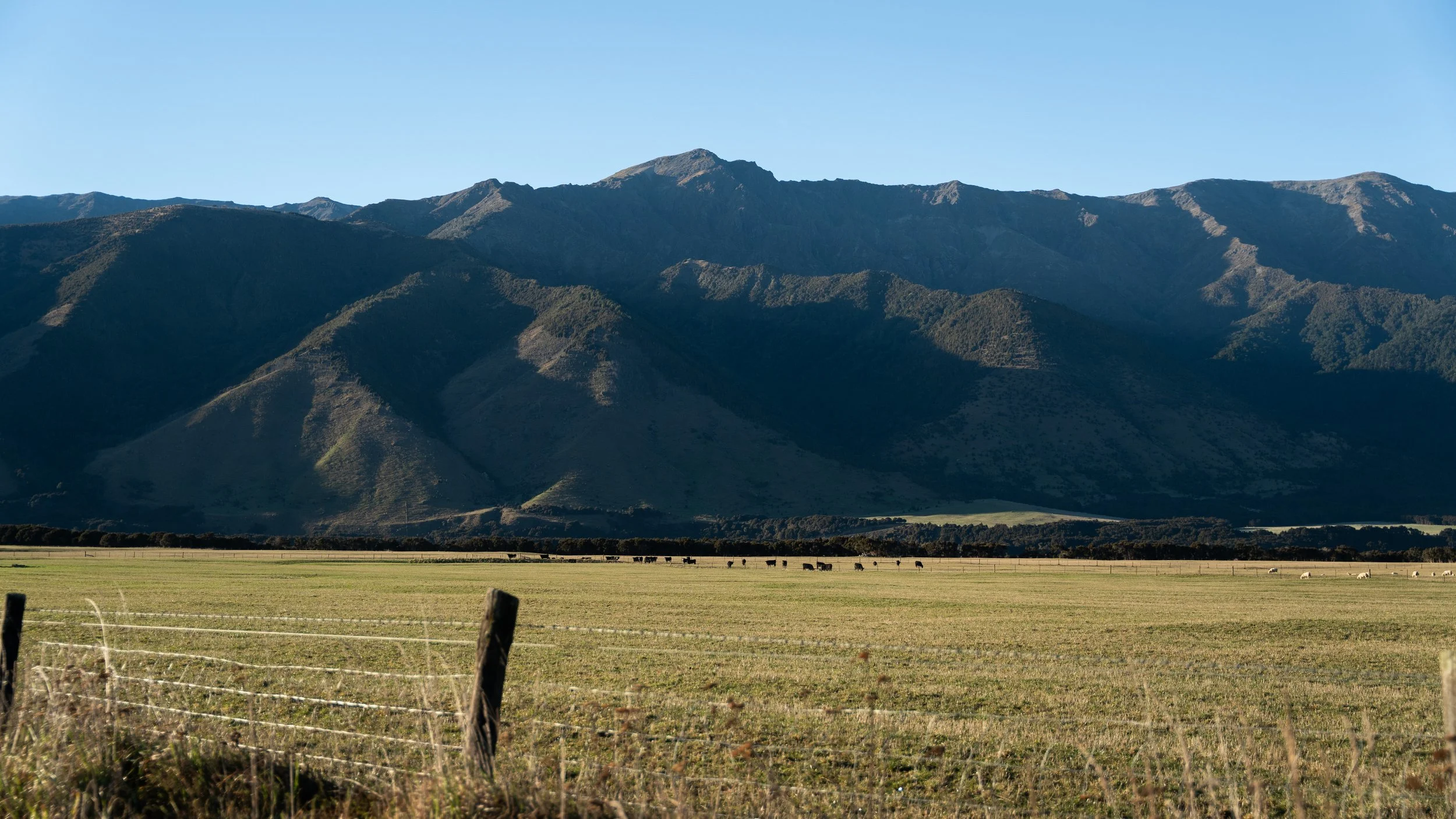 DSC09077-2.jpg