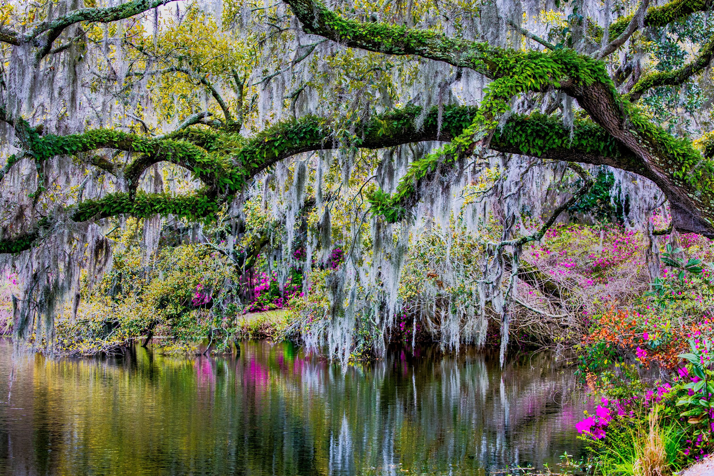 Airlie Gardens