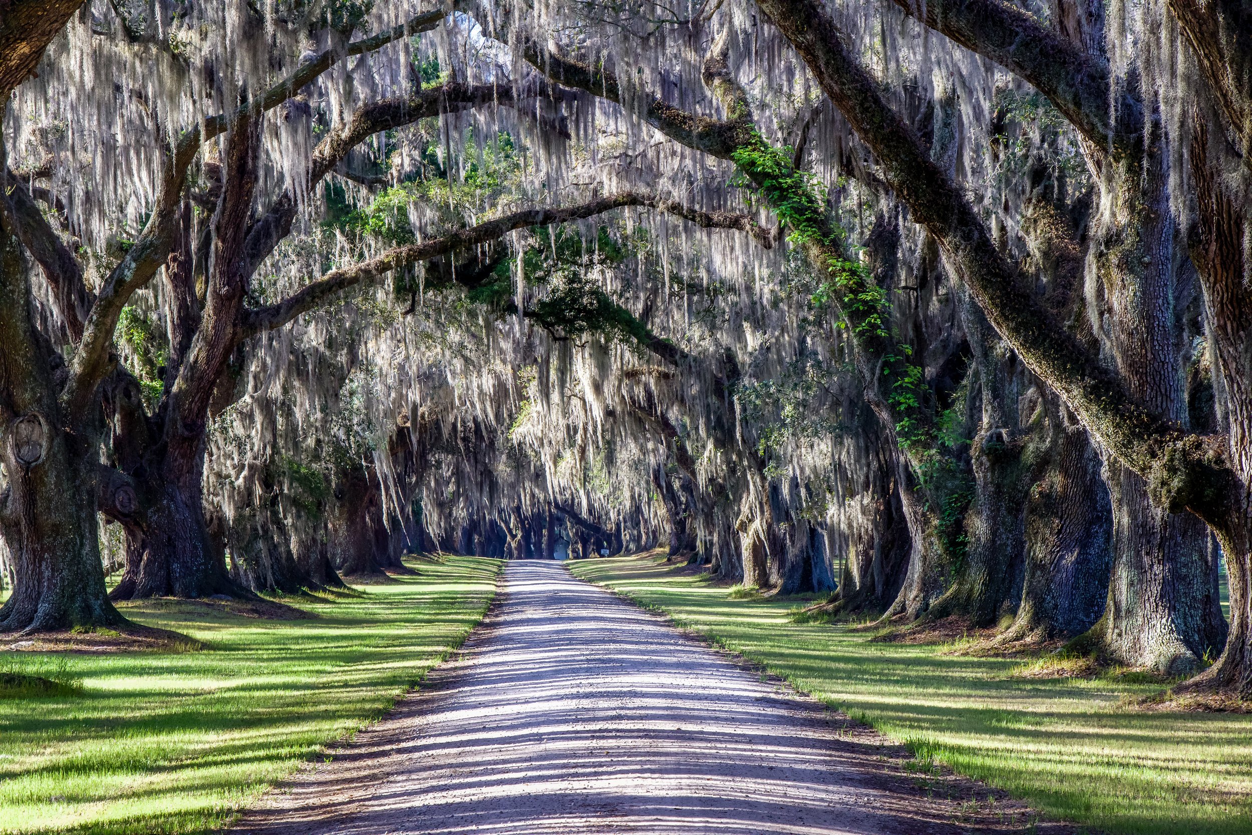 Tomotley Plantation SC