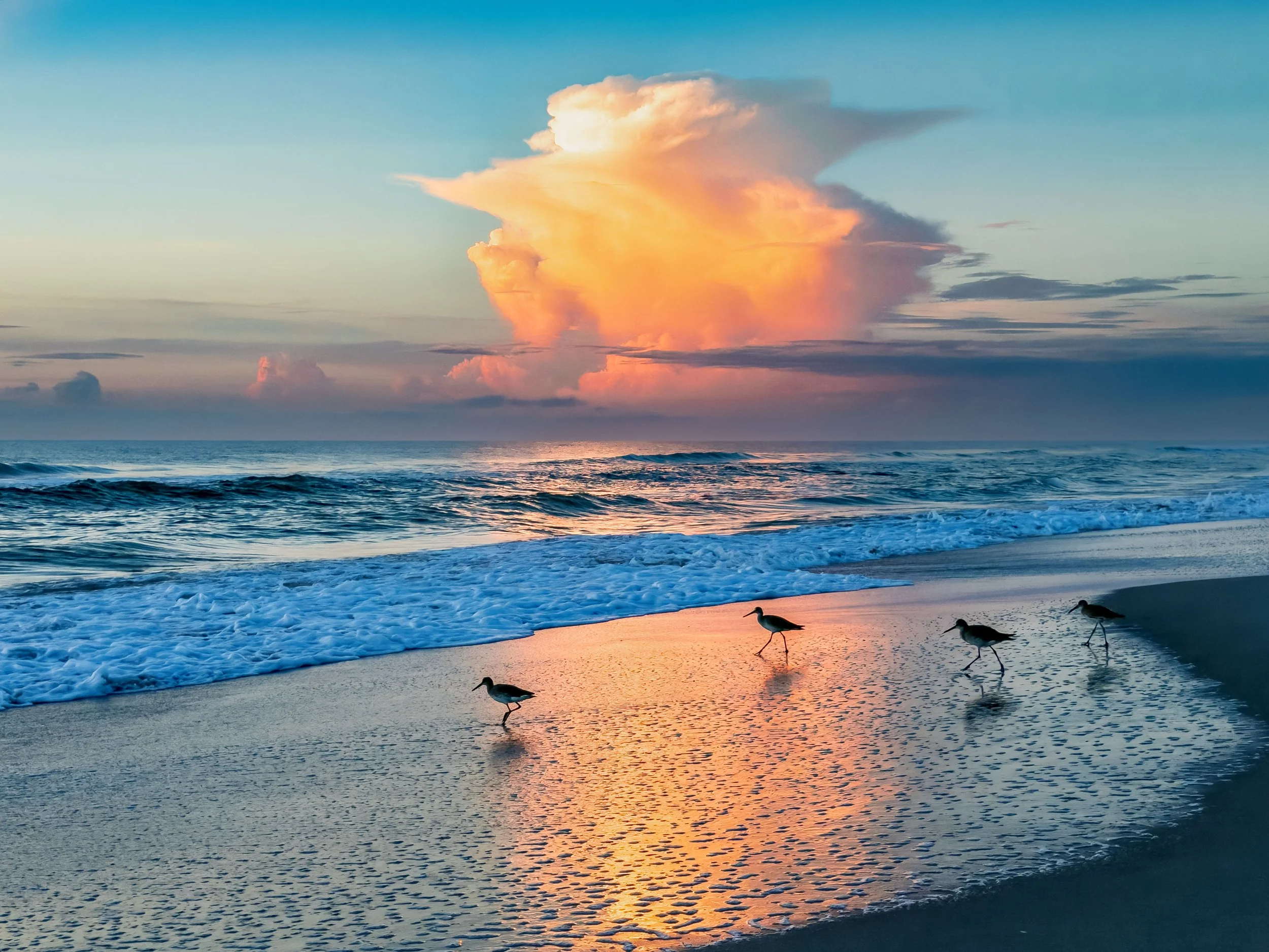 BirdCloud.jpg