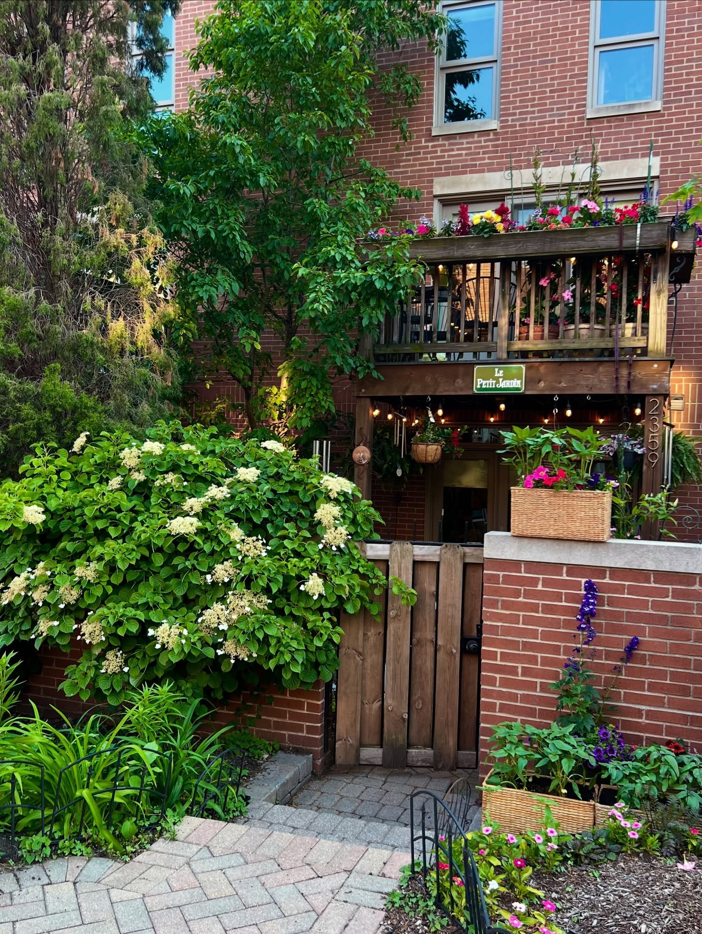 Le Petit Jardin, a beautiful garden tucked in an alleyway in Sheffield Neighborhood. 

Come see what urban gardeners are doing with their available outdoor space at the Sheffield Garden Walk, July 19 &amp; 20!

#chicagogarden #chicagogardens #gardenw