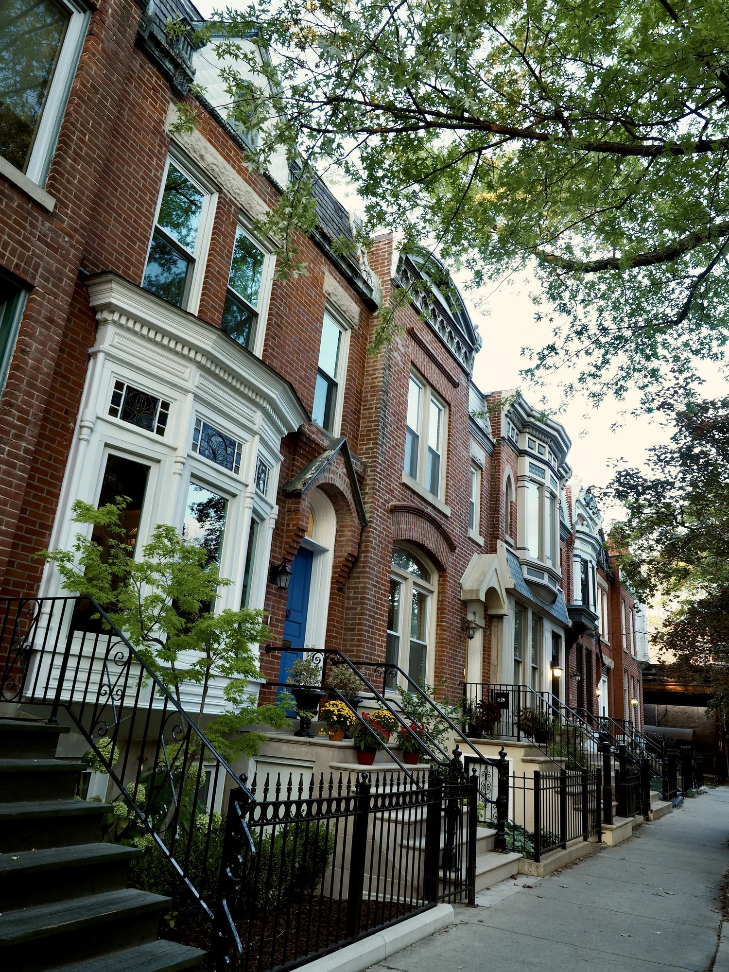 About — Sheffield Neighborhood Association