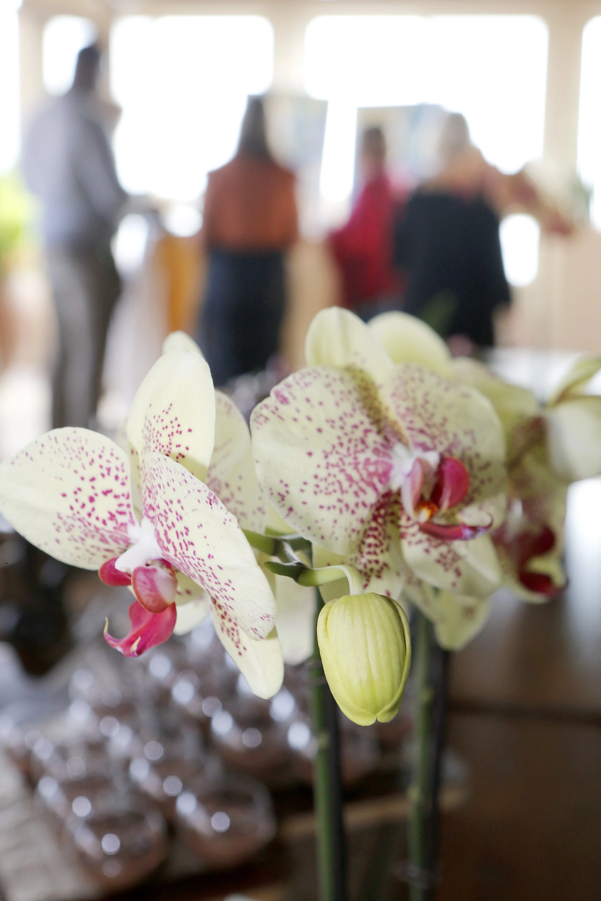 Monterey_Library_Foundation _W&W_043.JPG