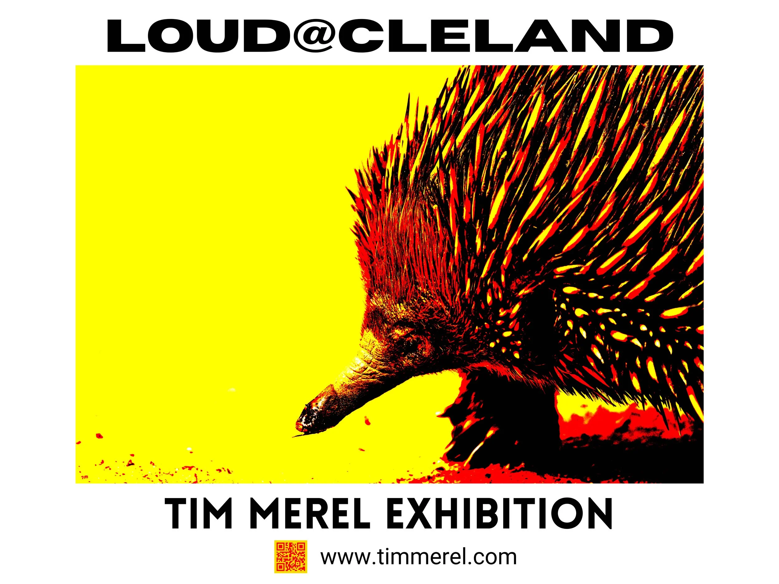 LoudAtCleland - Tim Merel Exhibition.jpeg
