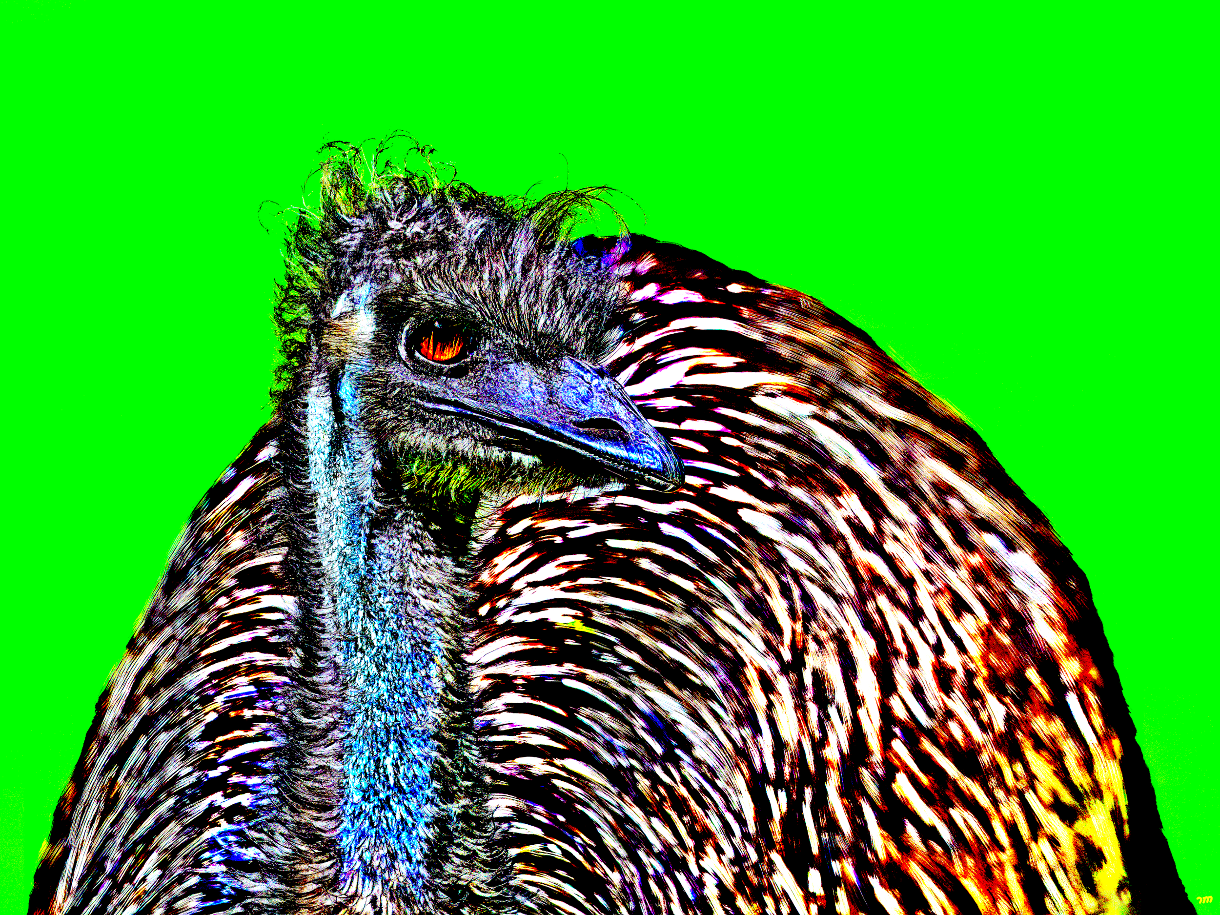   Thrum  - Lightcut (2026) -  learn more / buy now  