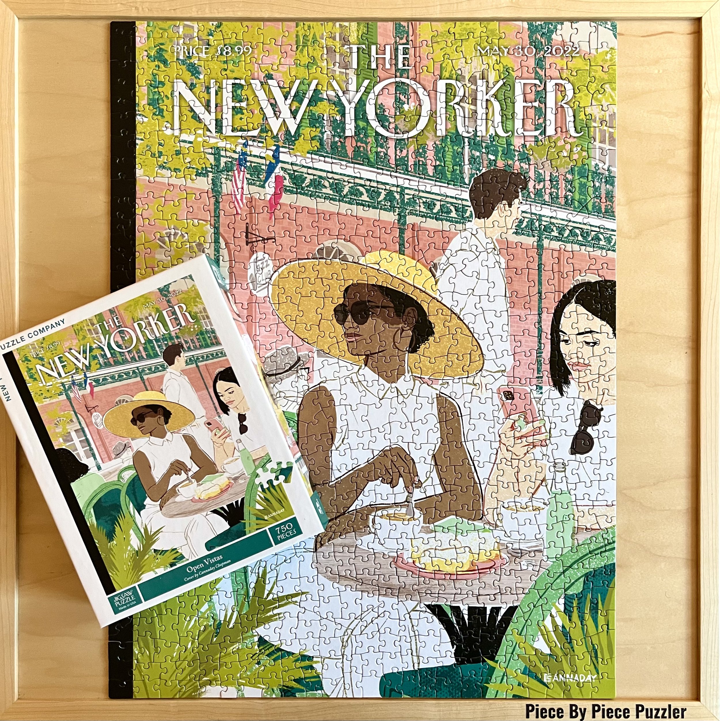 Open Vistas by New  York Puzzle Company (750 pcs.)