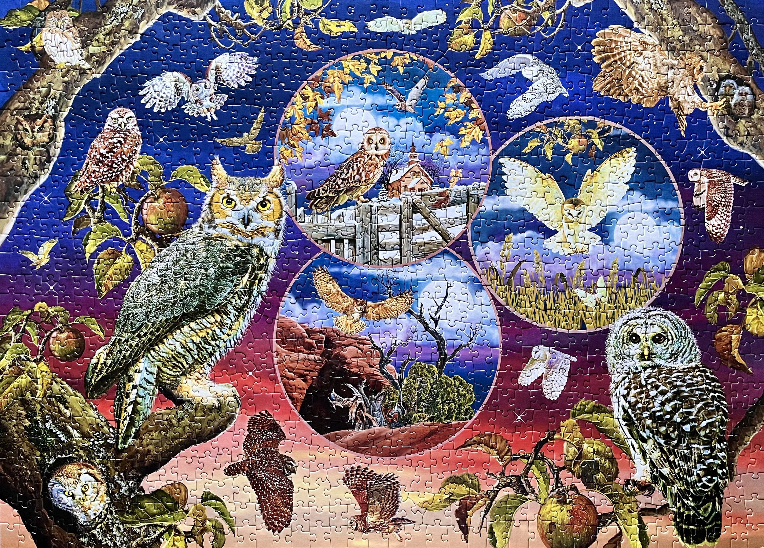 Owl Magic by Cobble Hill (1000 pcs.)