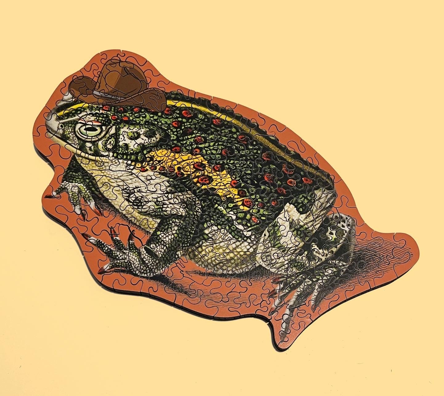 Cowboy Frog by Anthology (150 pcs.)