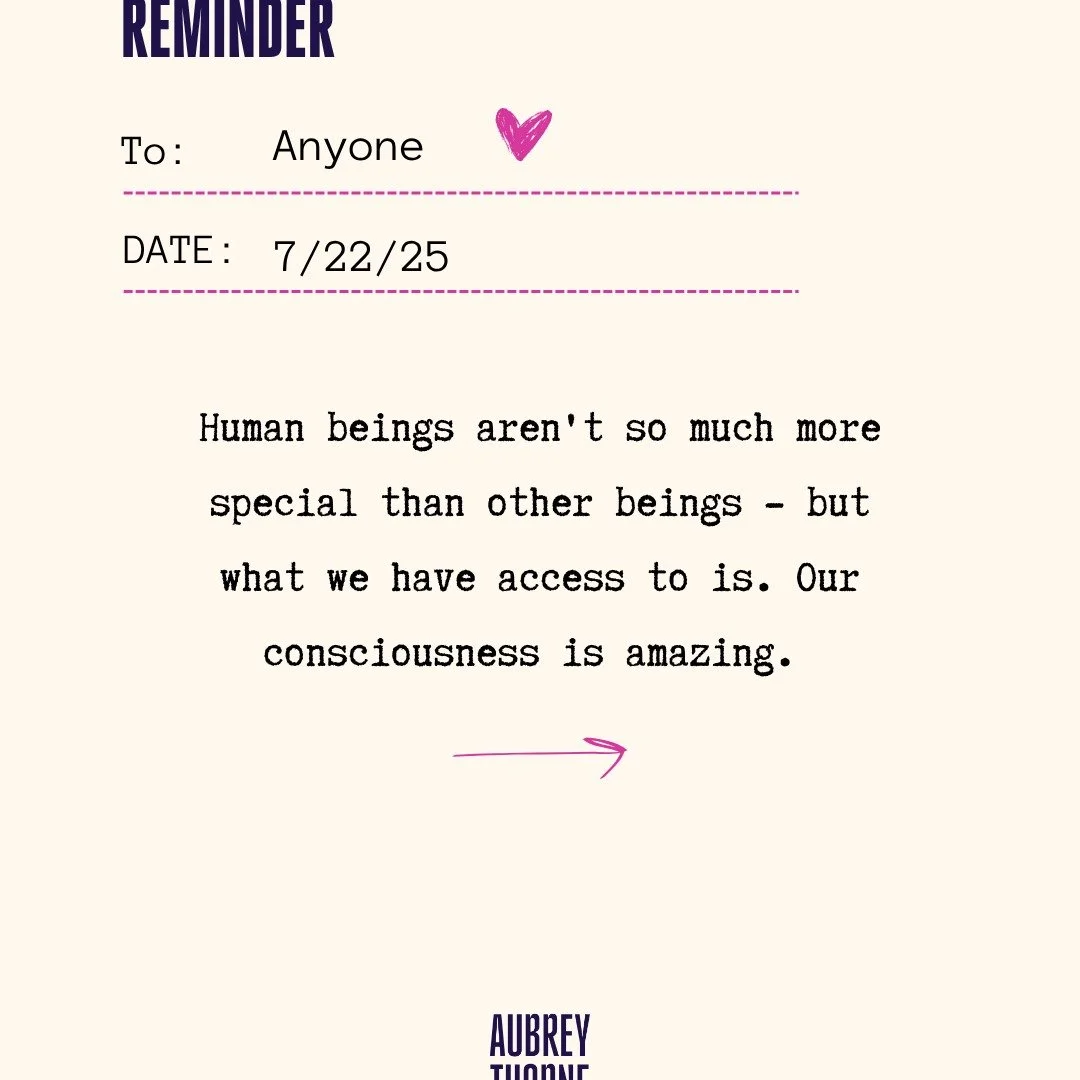 We're not meant to be isolated, standalone. We become empowered, clear, and super ALIVE when we're connected- to each other, to our purpose, to Spirit.
(🌞And btw your natal chart is the absolutely best way to discover how, who, and what you're here 