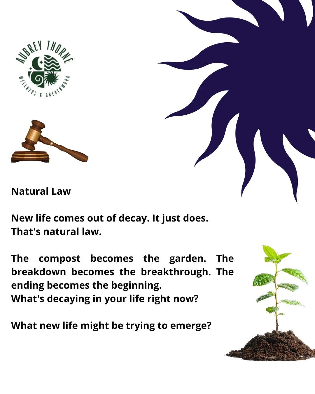 Composting isn&rsquo;t just for gardens. Let what&rsquo;s breaking down give rise to something better.

#naturallaw #transformation #cycles #renewal #growth