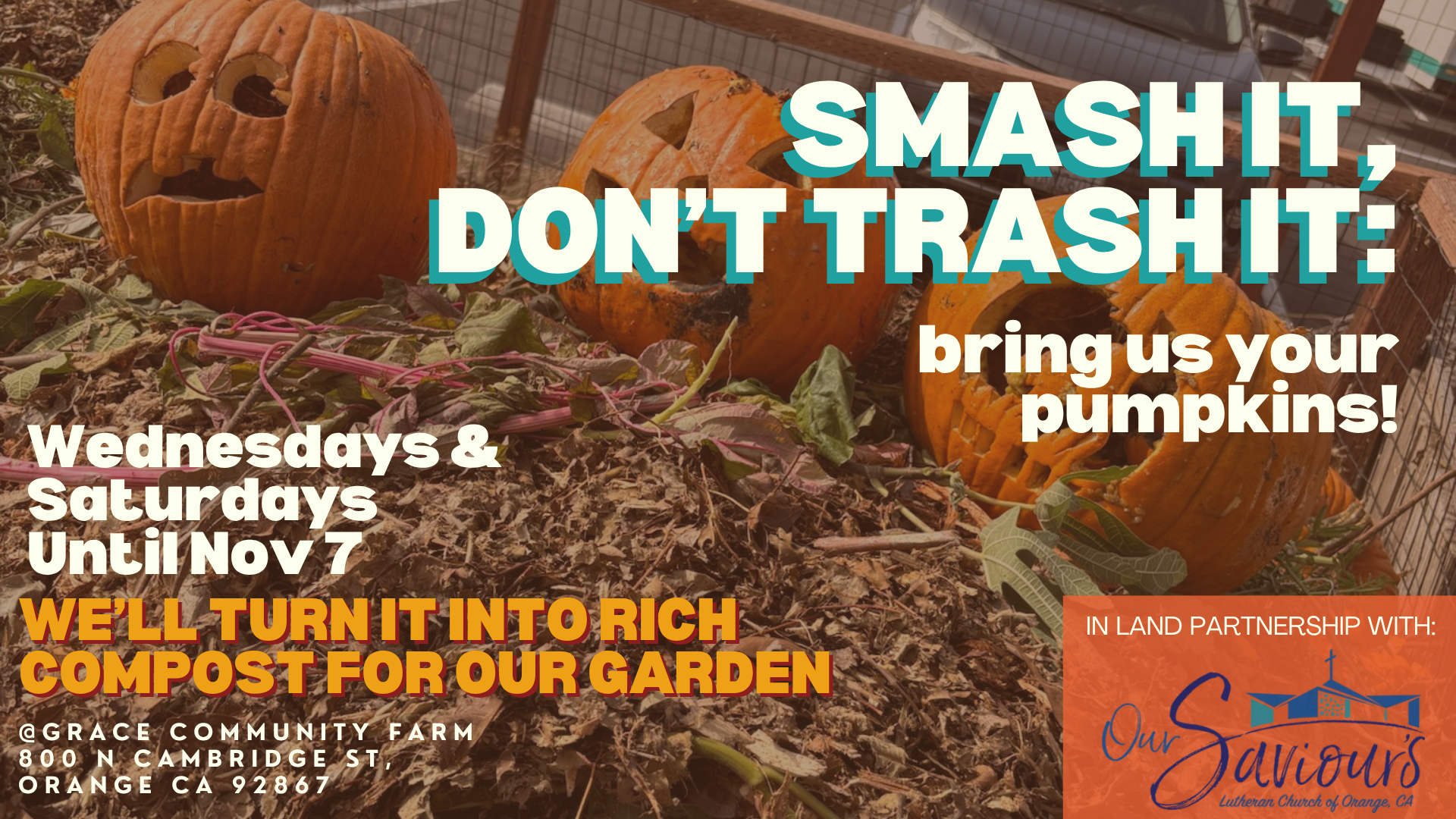 pumpkin banner.png