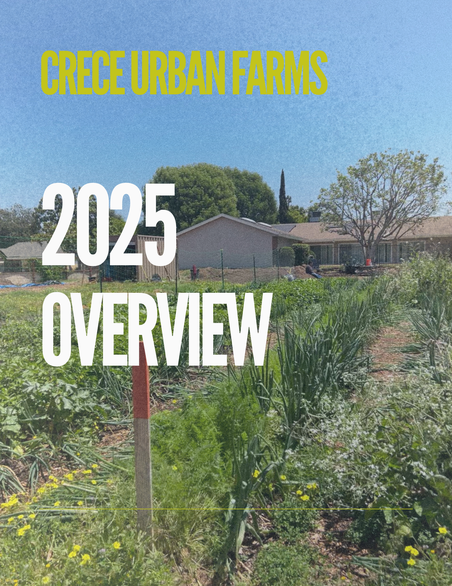 A Look at CRECE’s 2025