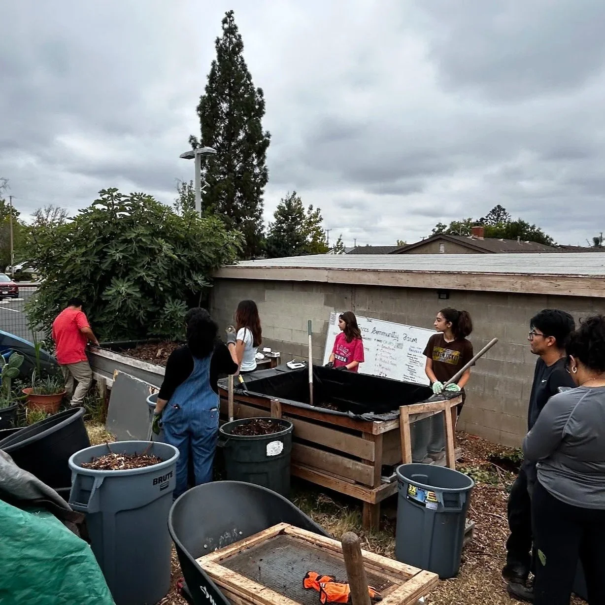 the trick is in the compost 