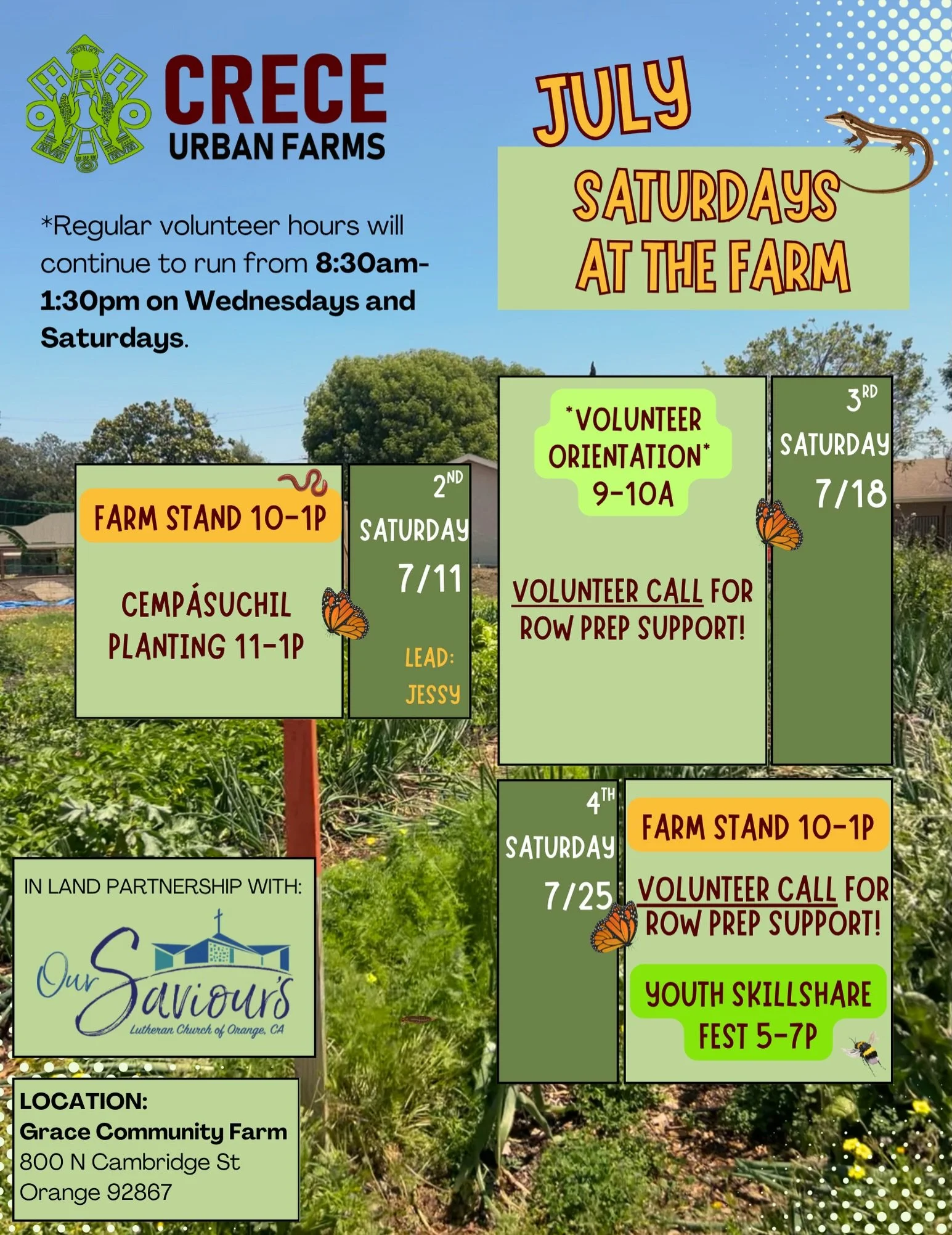 July Saturdays on the Farm: Summer sun means summer growth &mdash; and we need your hands in the dirt! Whether you&rsquo;ve got an hour or a whole Saturday, there&rsquo;s a spot for you on the farm this month.

From harvesting to row prep, every volu