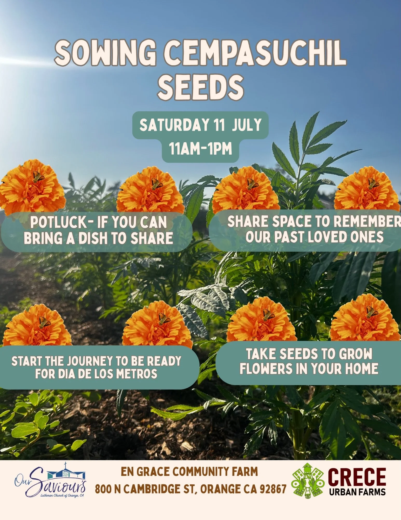 Join in the tradition of honoring our ancestors by planting cempas&uacute;chil (marigolds). In Orange County, it is customary to plant in mid-June to ensure a bountiful harvest for D&iacute;a de los Muertos. Feel free to bring food to share and enjoy