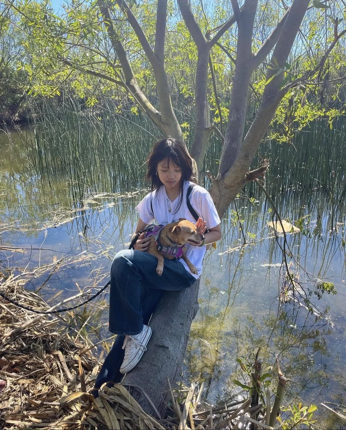 a photo of max