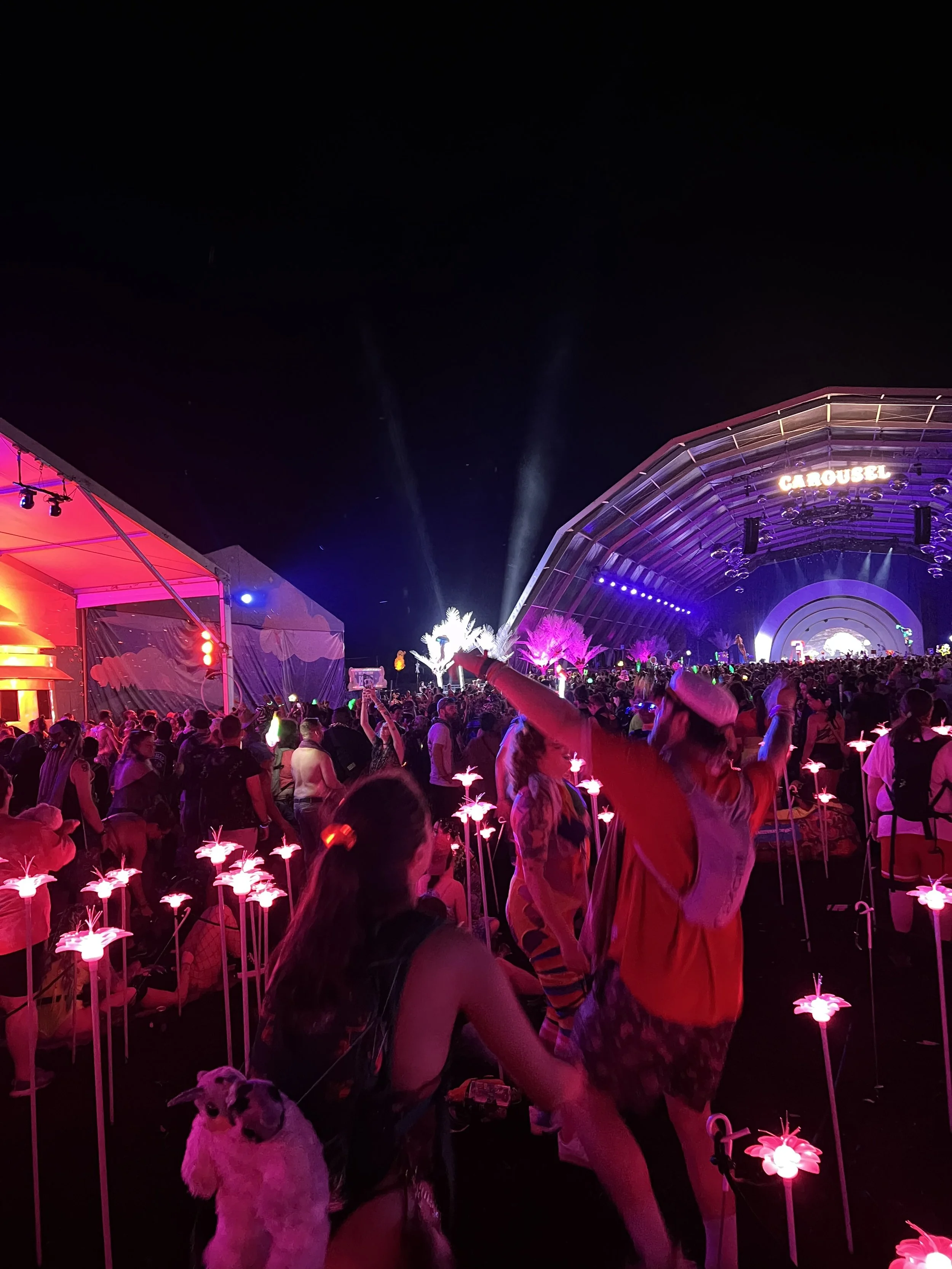 electric meadow 3.jpeg