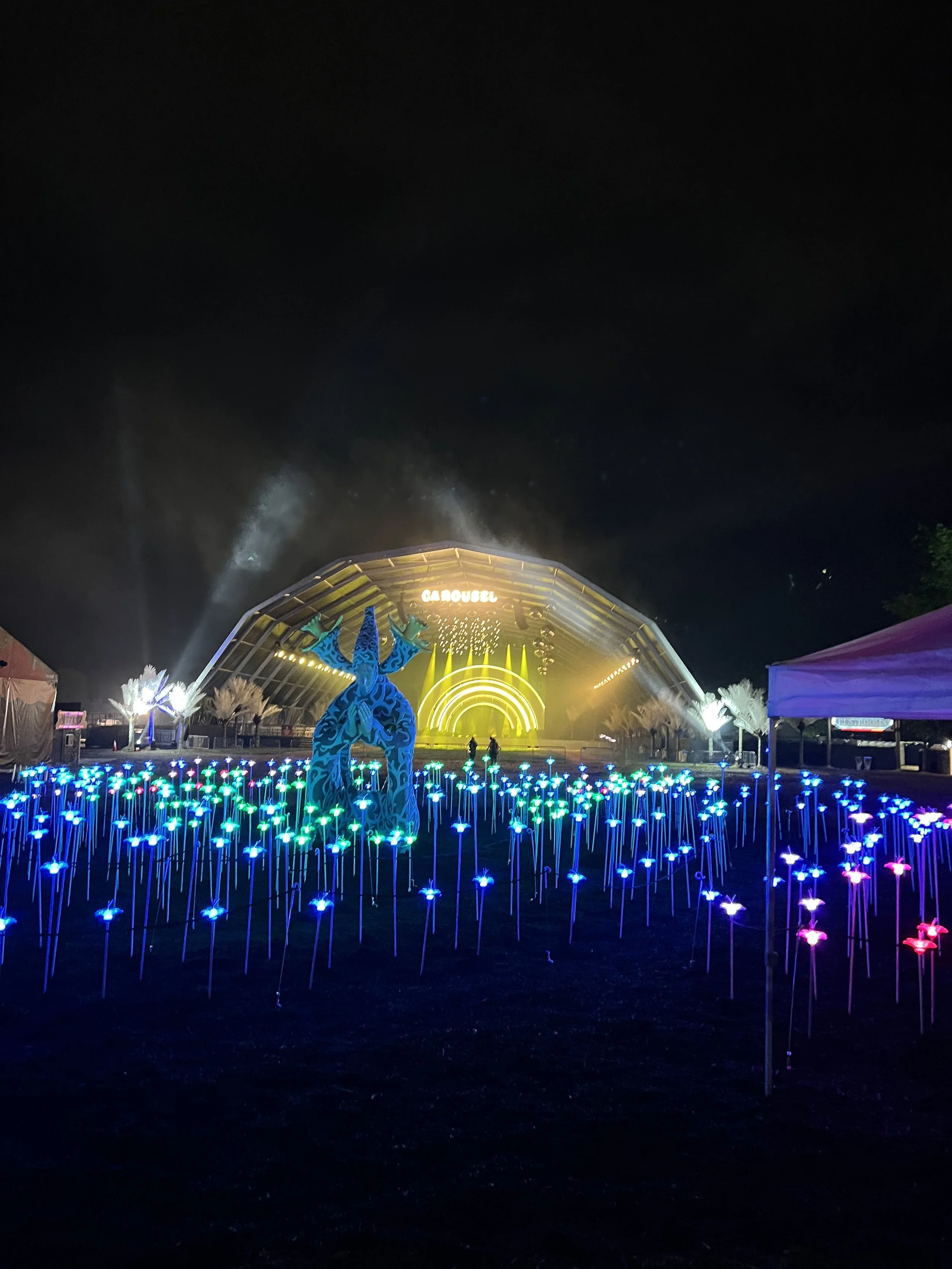electric meadow 2.jpeg