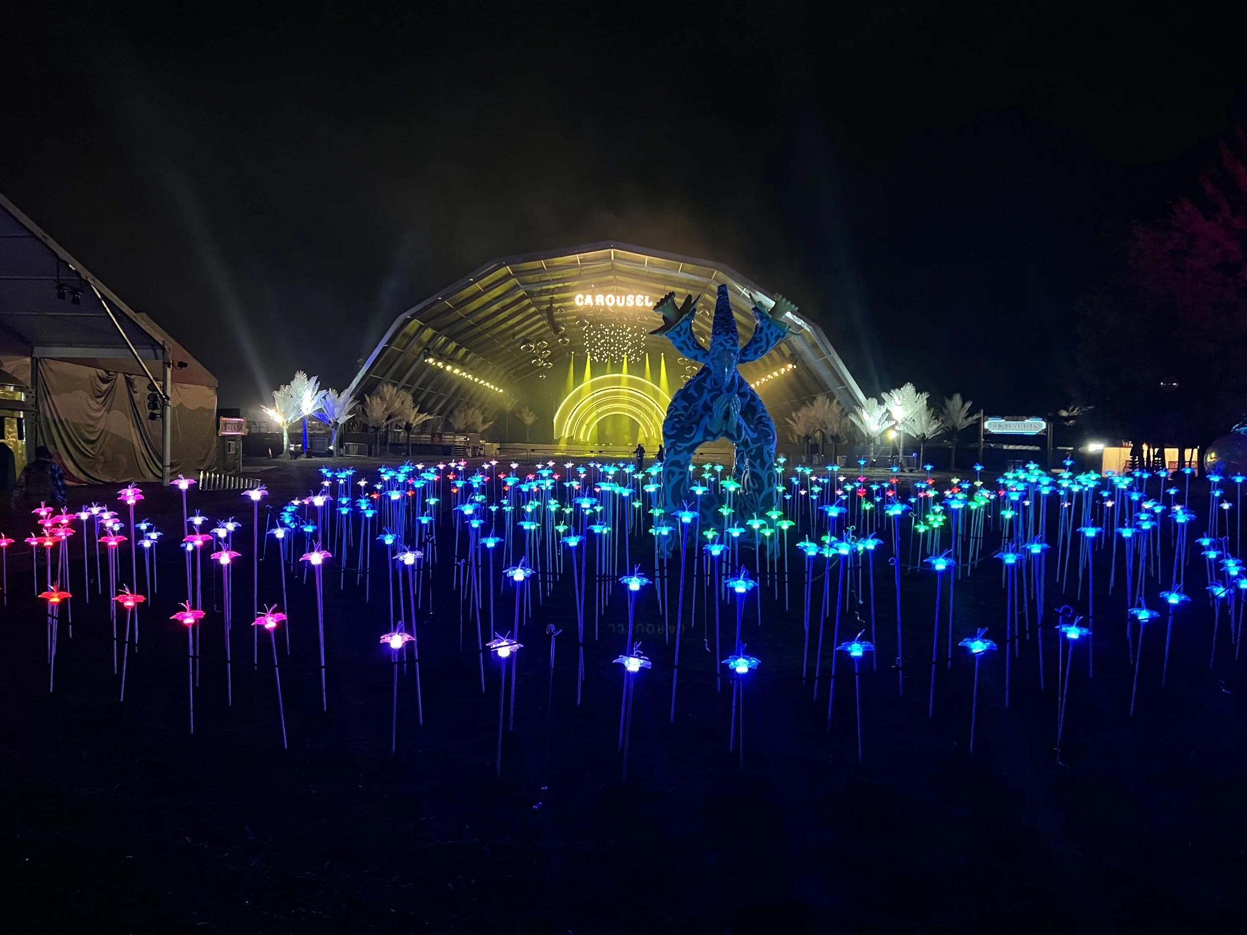 electric forest 6.jpg