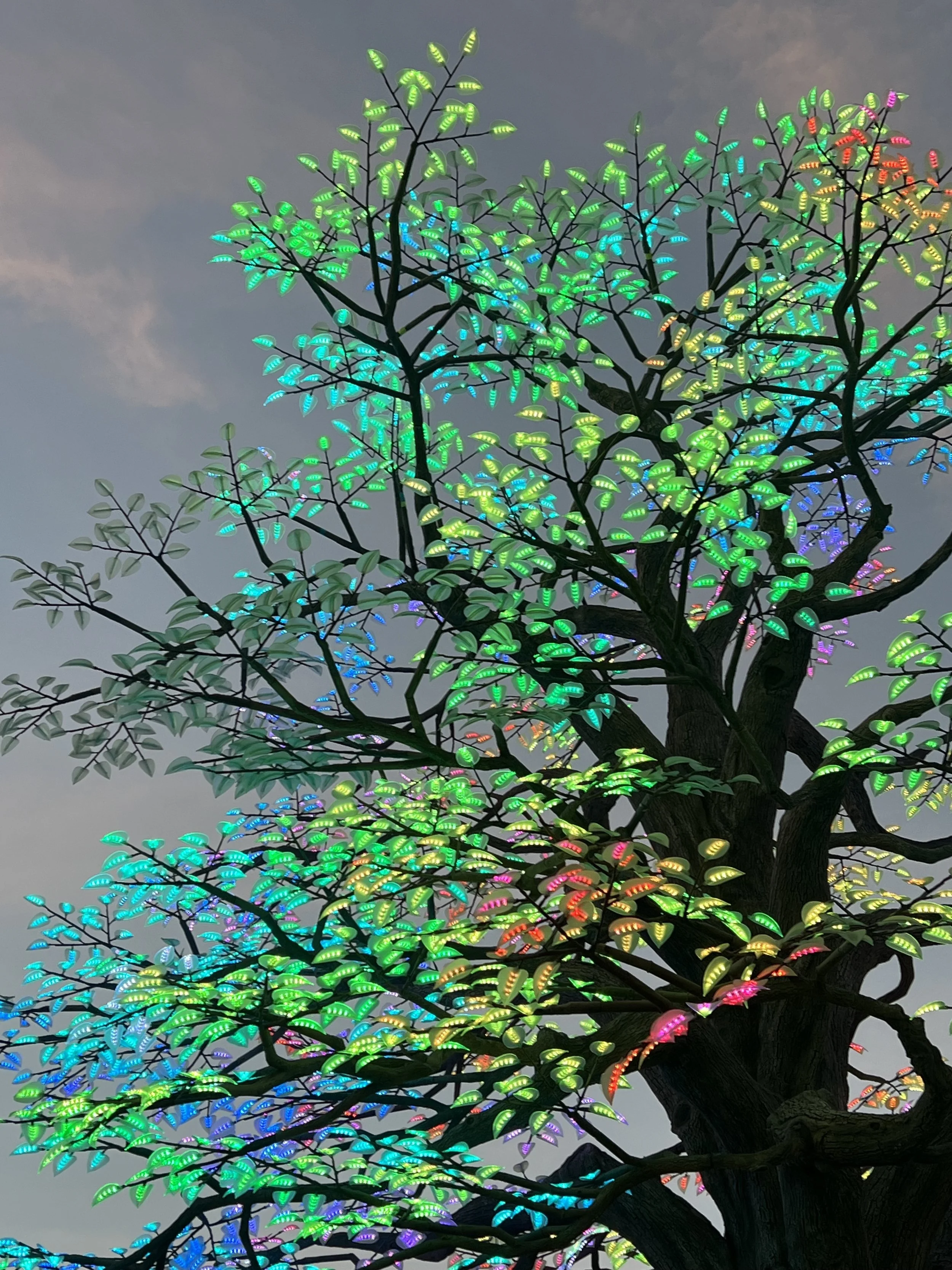 kansas city tree 7.jpg