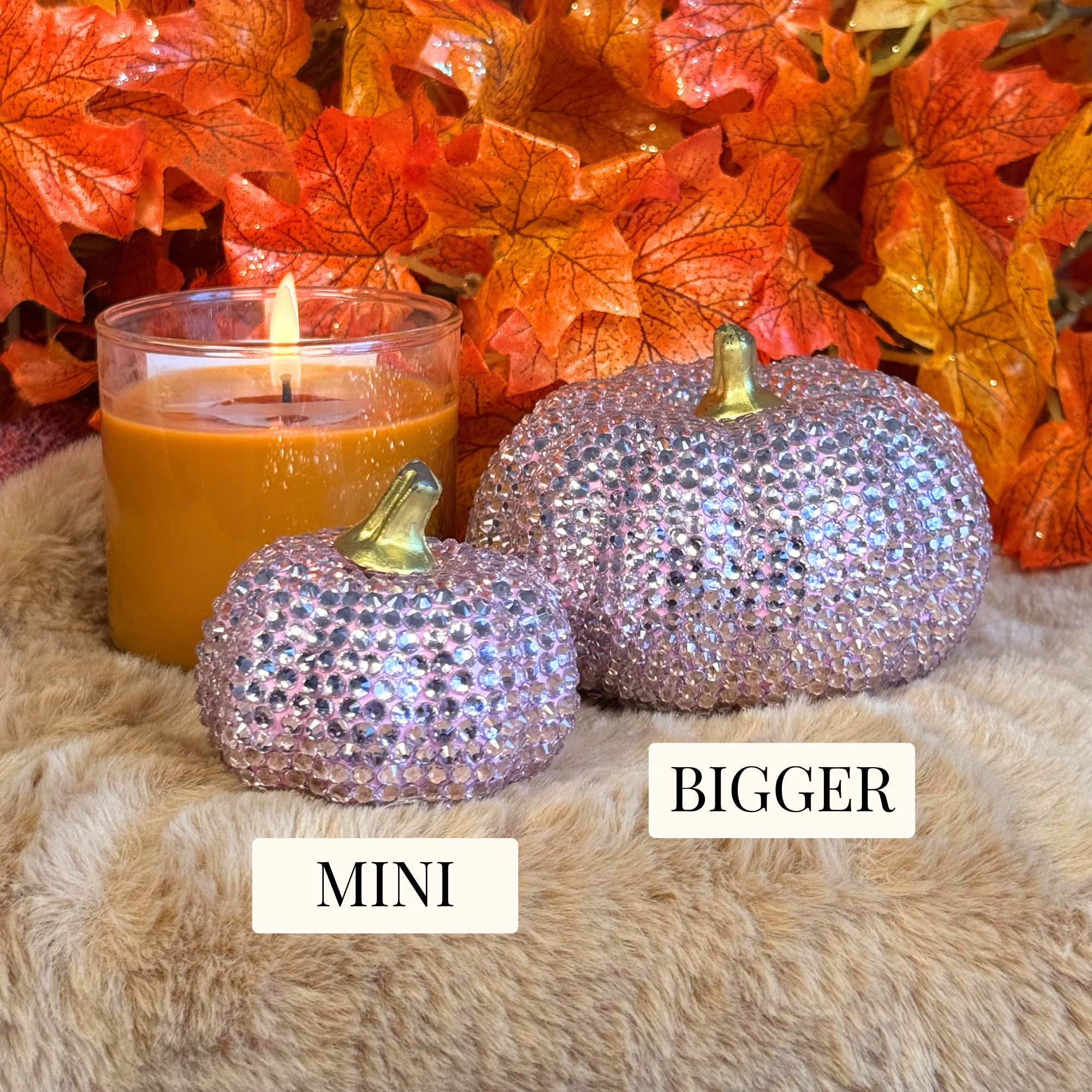 miniandfullpumpkin.png