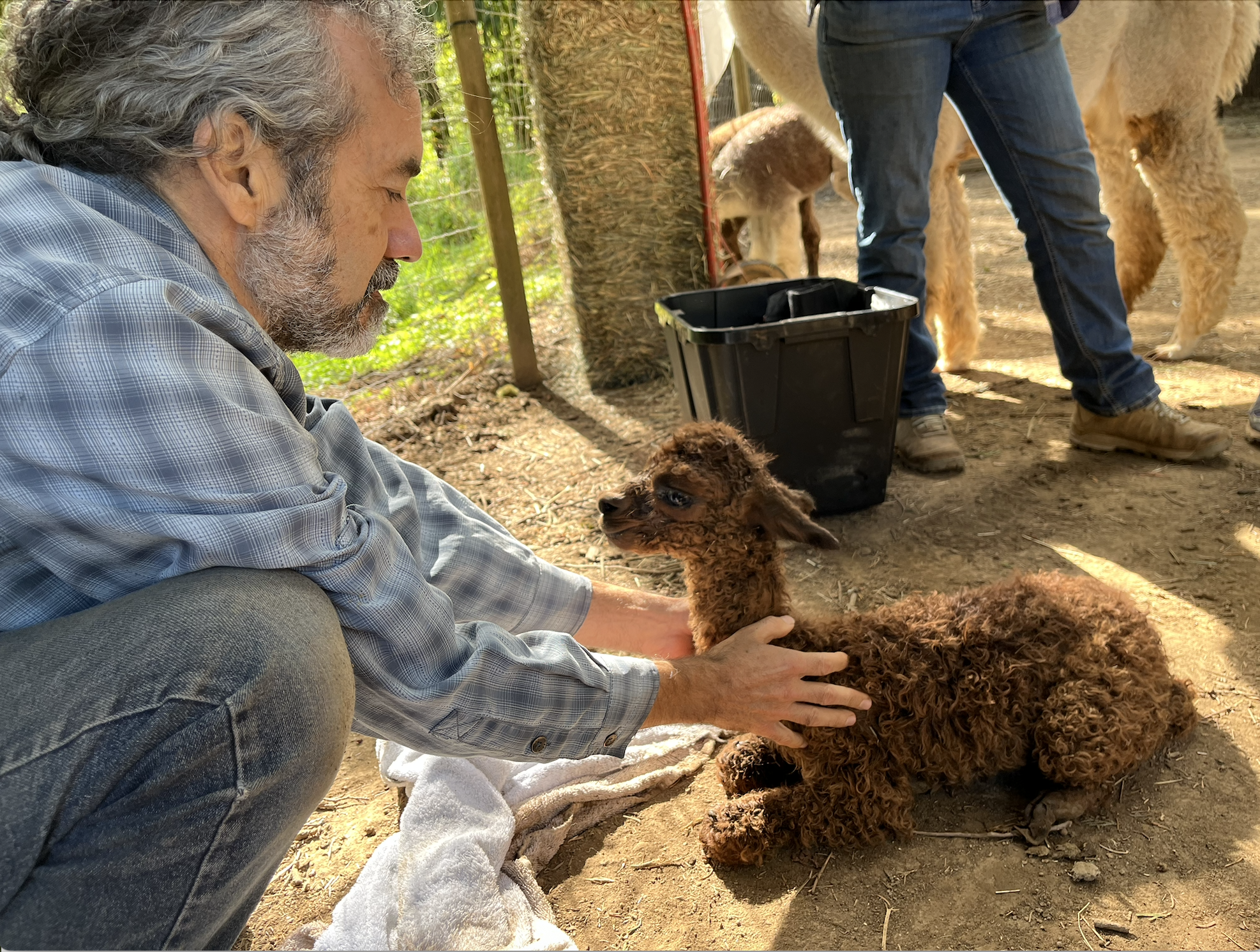 Screenshot 2026-01-13 at 12.19.38 PM.png