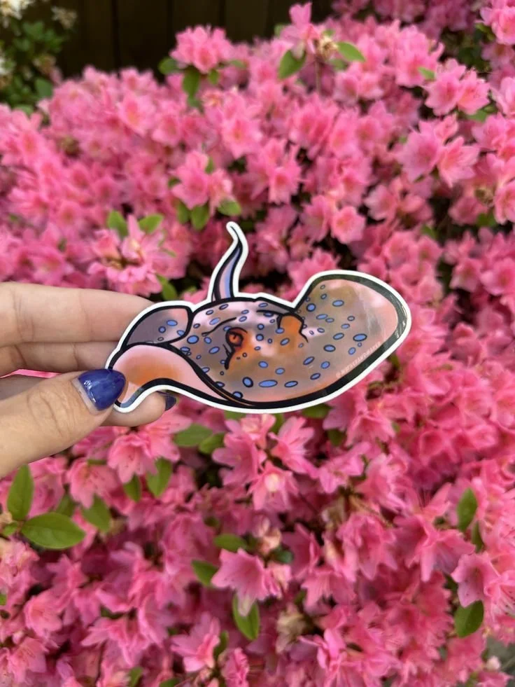 Ray Sticker — Mother & Maker