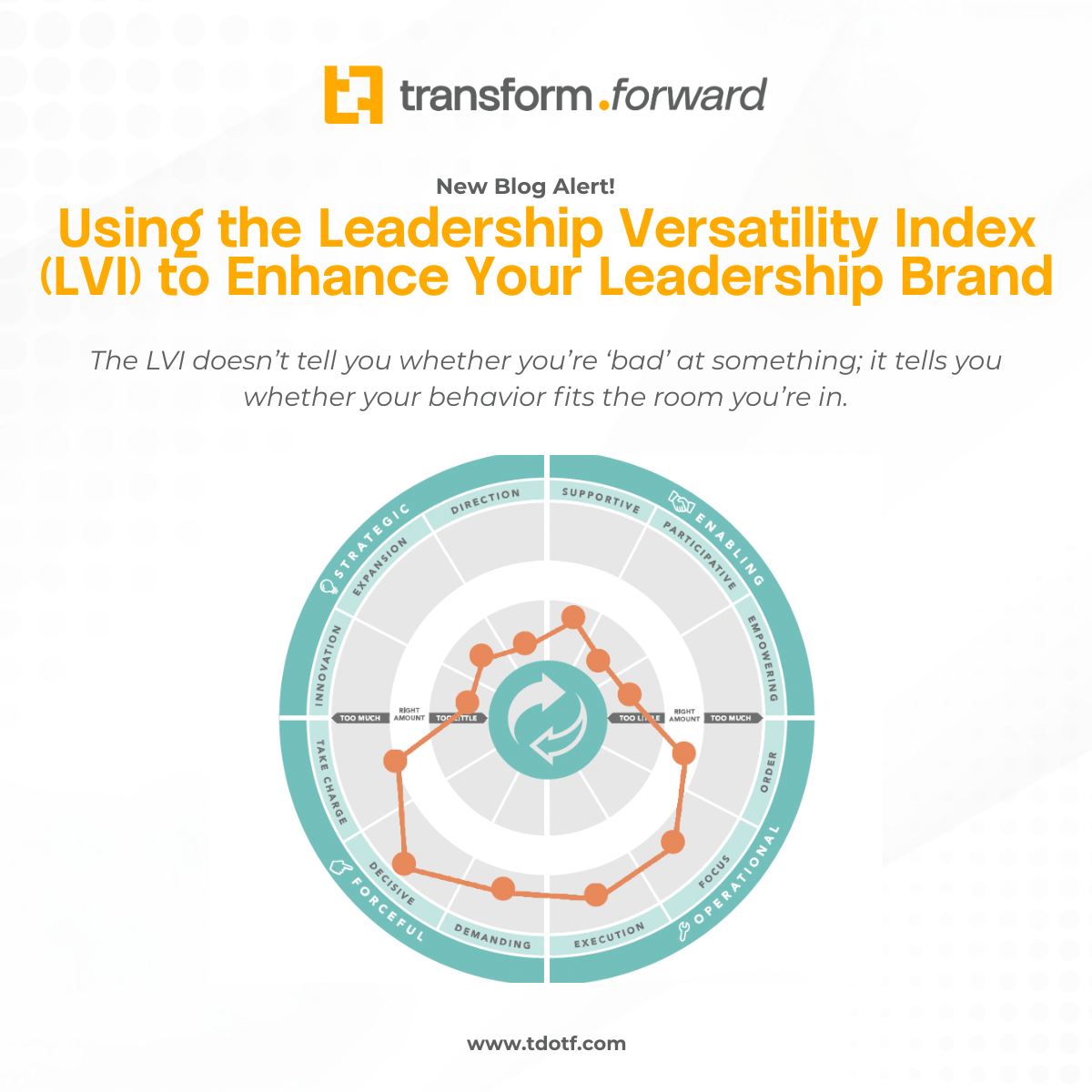 Using the Leadership Versatility Index (LVI) to Enhance Your Leadership Brand