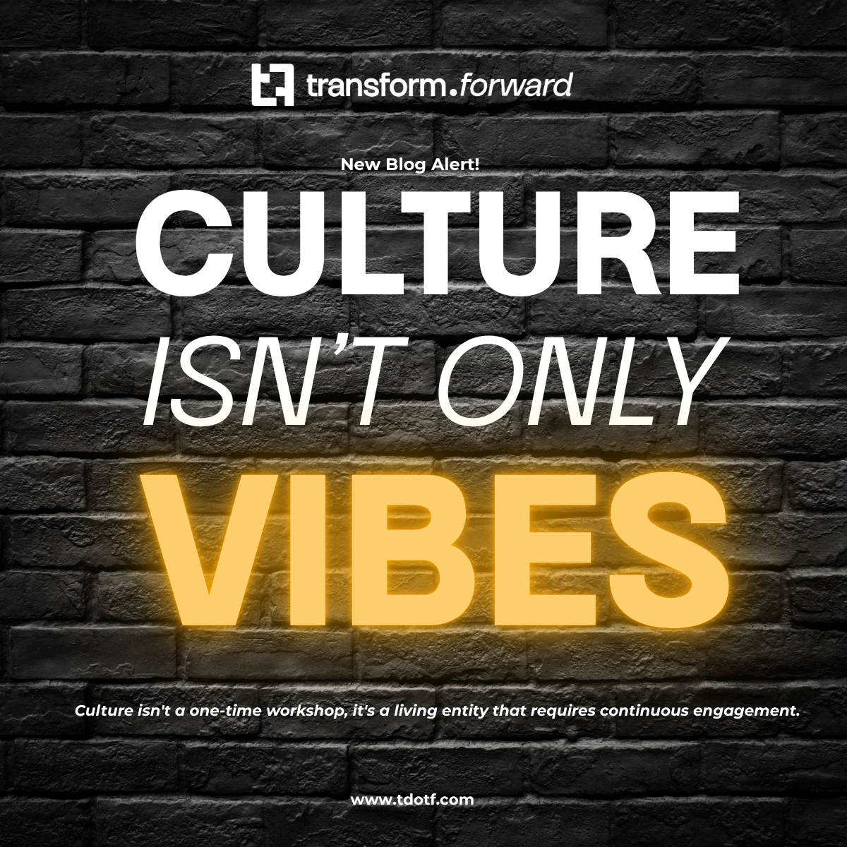 Culture Isn’t Only Vibes