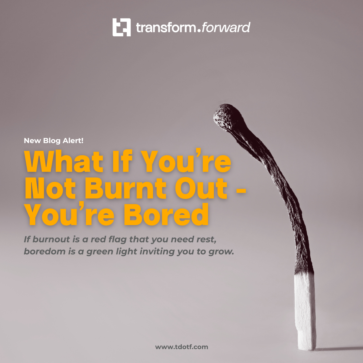 What If You’re Not Burnt Out - You’re Bored?
