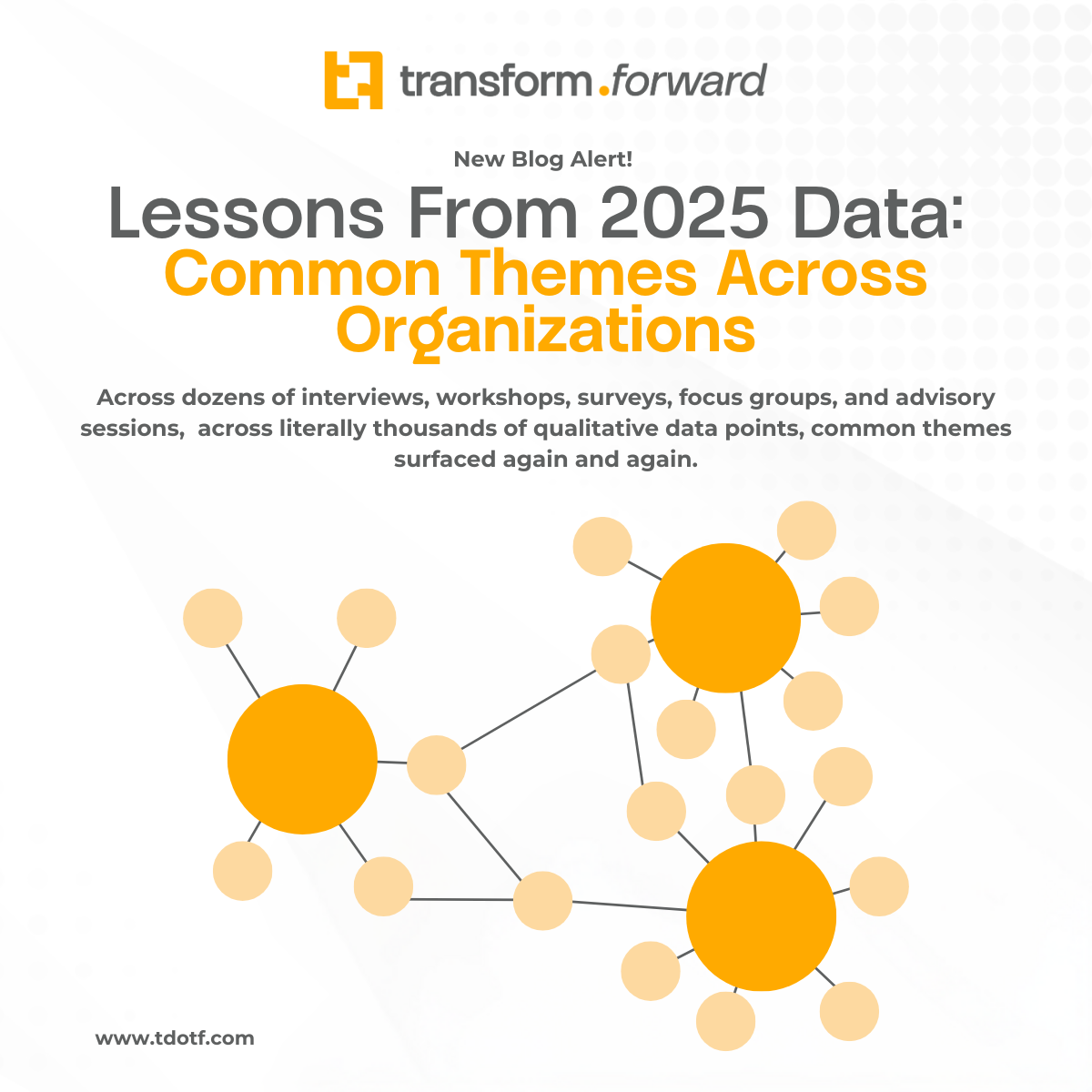 Lessons From 2025 Data: Common Themes Across Organizations