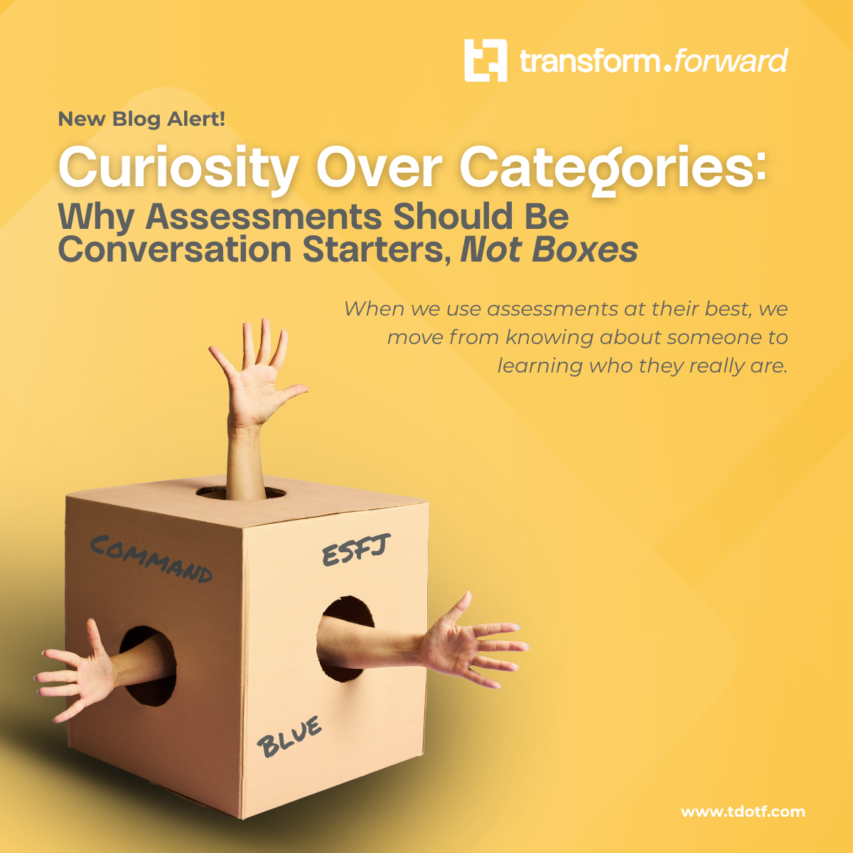 Curiosity Over Categories: Why Assessments Should Be Conversation Starters, Not Boxes