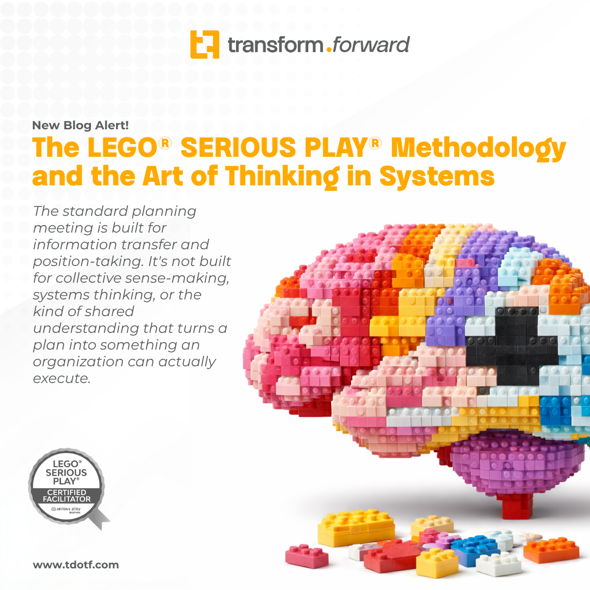 The LEGO® SERIOUS PLAY® Methodology and the Art of Thinking in Systems