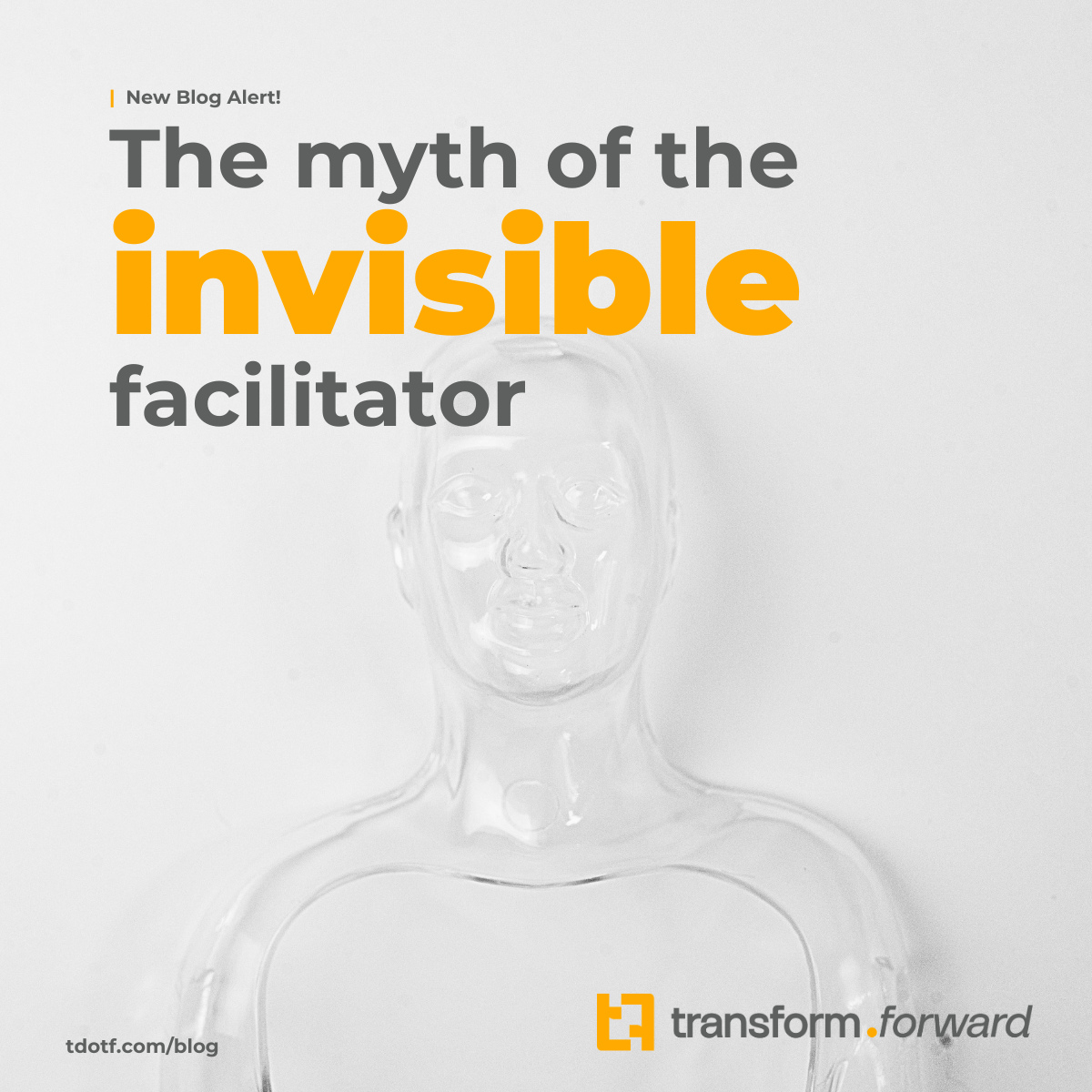 The Myth of the Invisible Facilitator