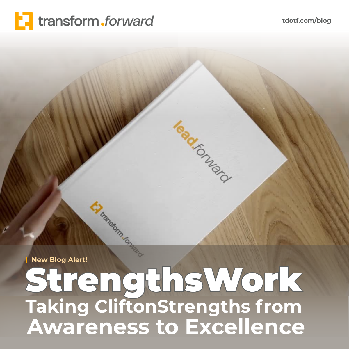StrengthsWork: Taking CliftonStrengths from Awareness to Excellence