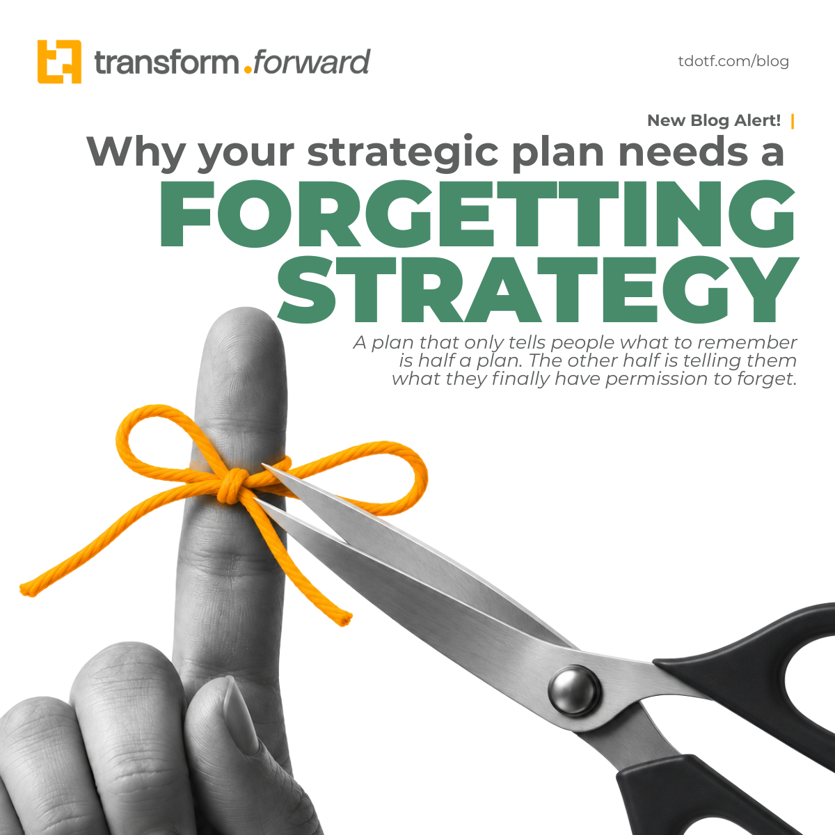 Why Your Strategic Plan Needs a Forgetting Plan