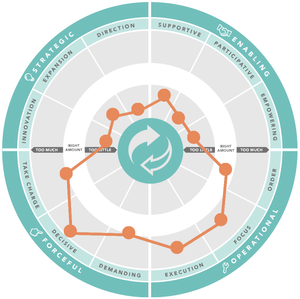 Leadership Versatility Index wheel